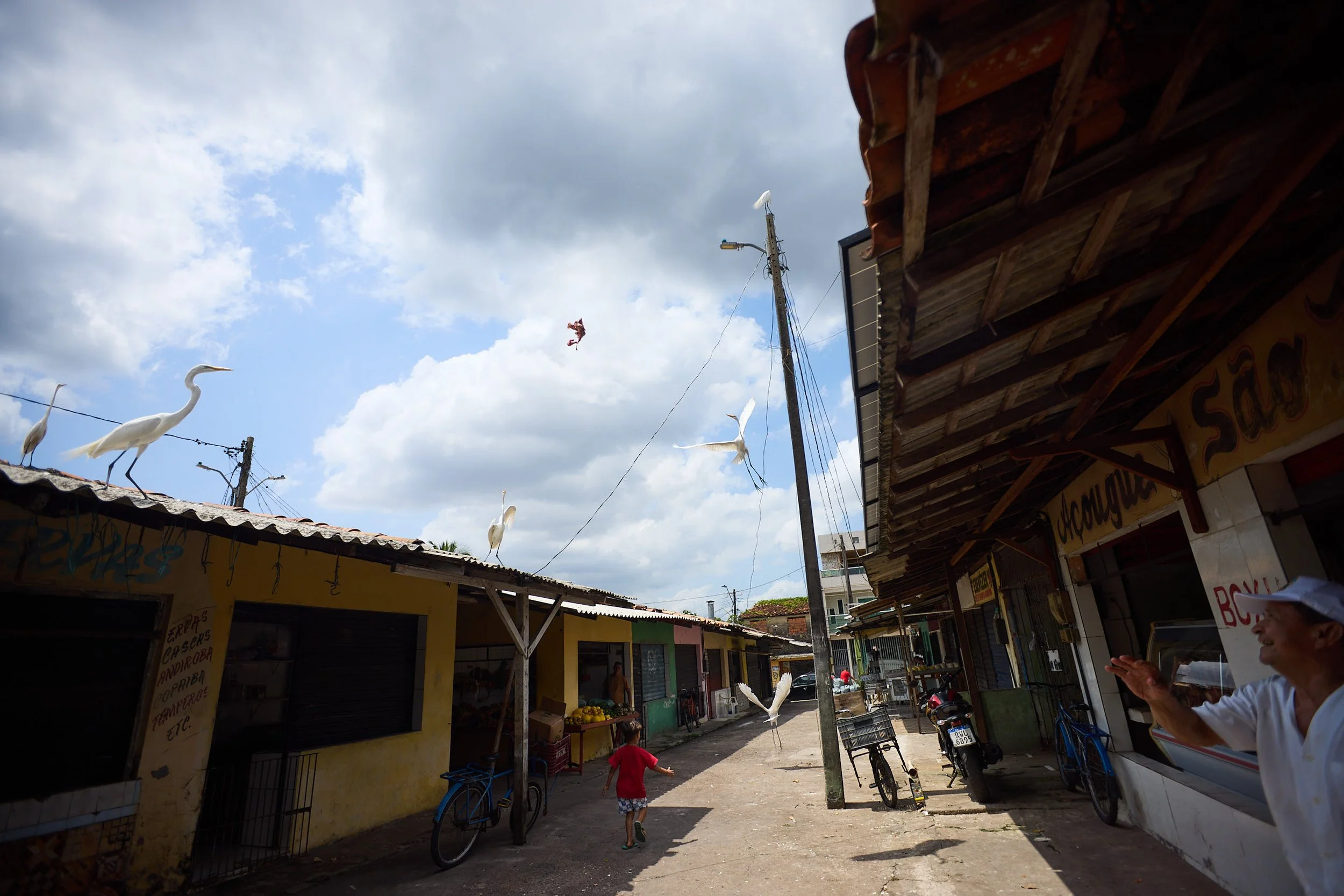 IPOW FLOW_BELEM DAY 05_172.jpg