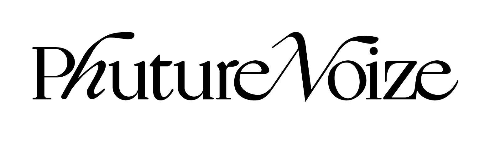 Phuture Noize logo.jpeg