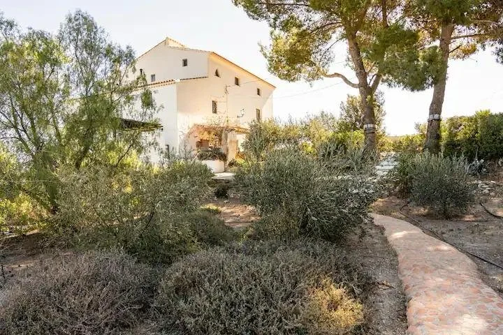 WhatsApp Image 2025-05-21 at 14.48.46_e2aae33c.jpg