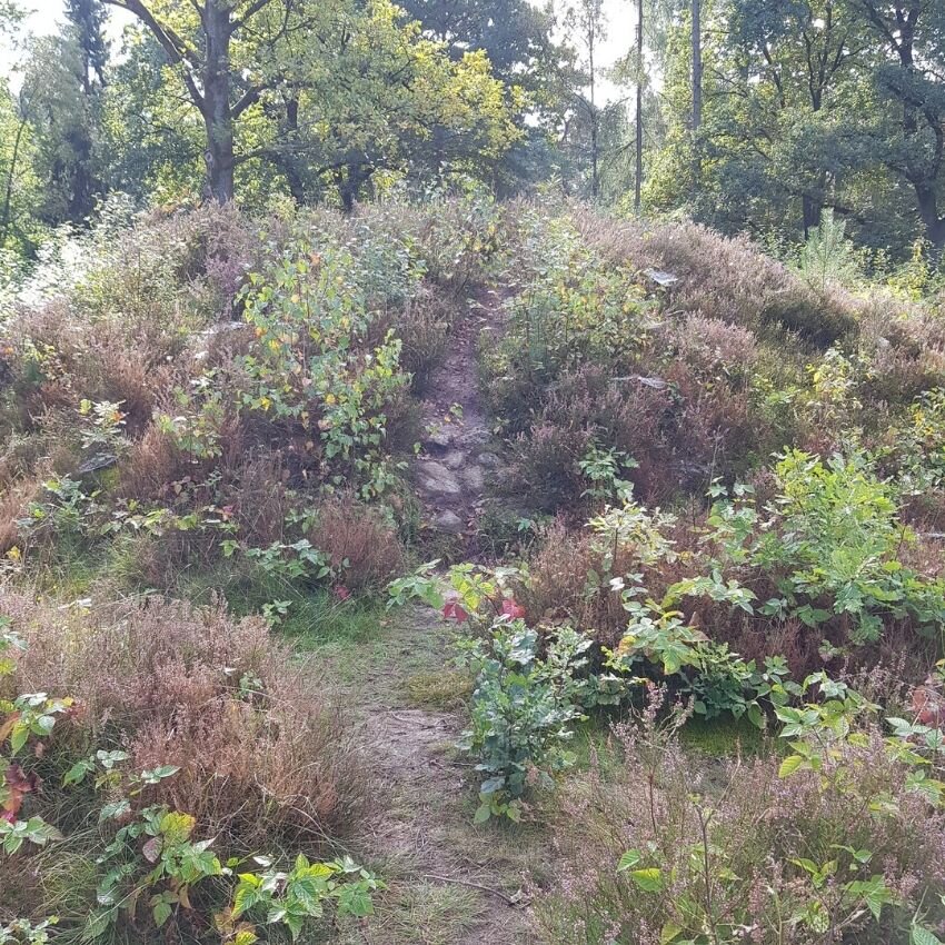 Hügelgrab in der Nekropole Soderstorf