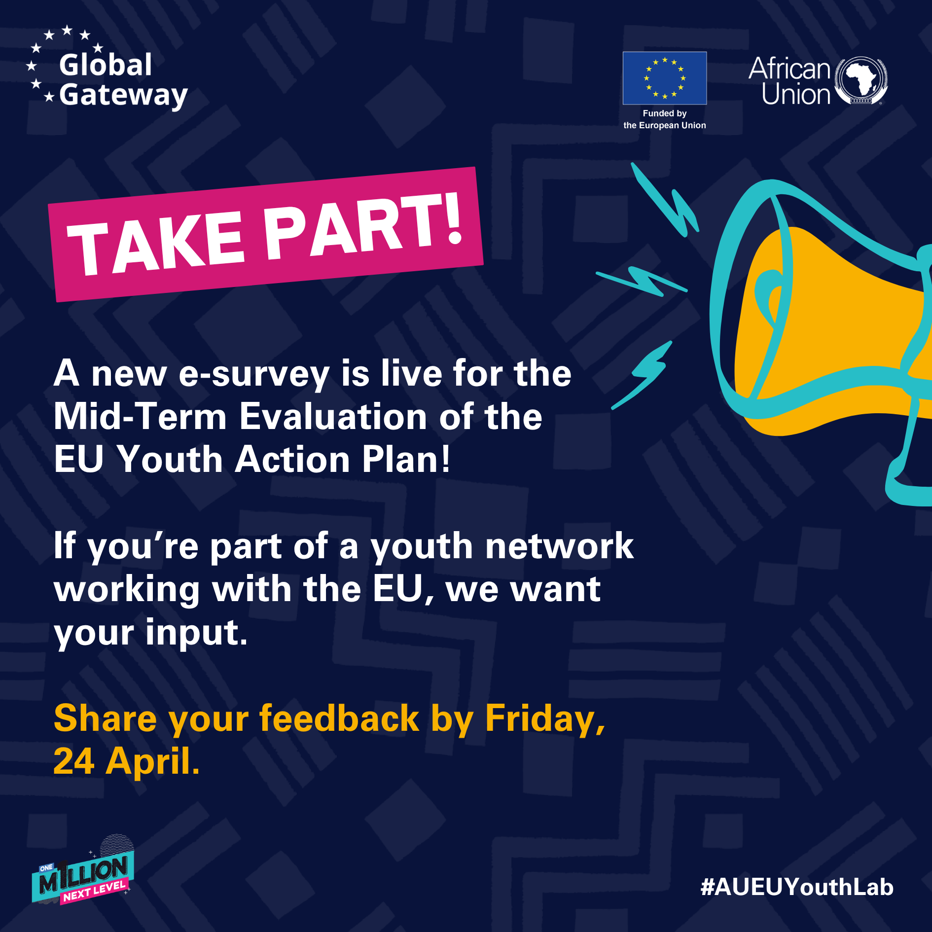 [External Opportunities: Survey] Mid-Term Evaluation of the EU Youth Action Plan