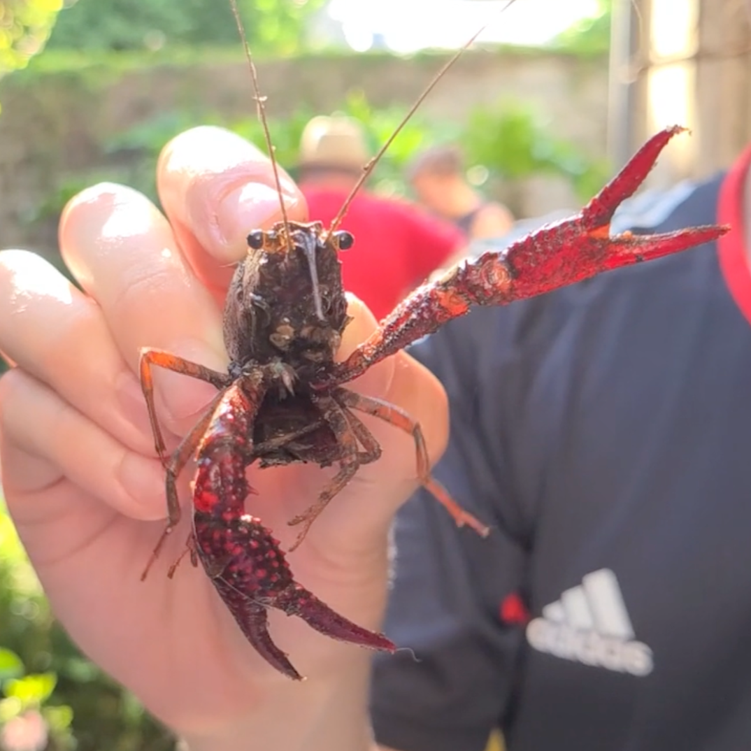 Screenshot 2026-03-19 at 3.55.33 PM.png