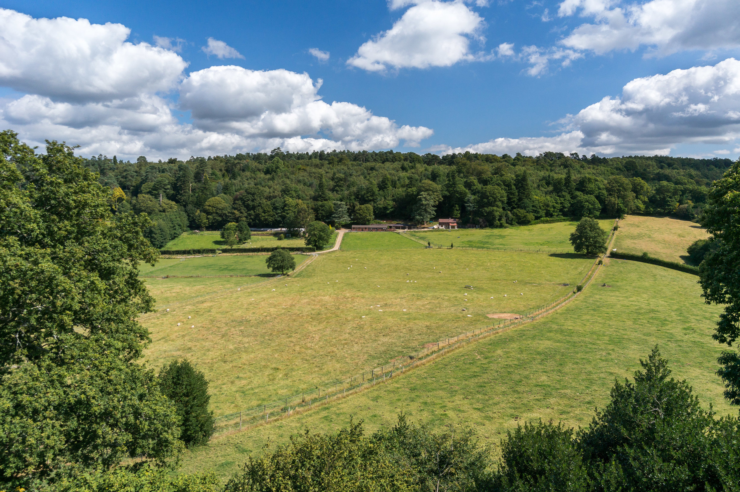 Cottage Valley Side Setting.jpg