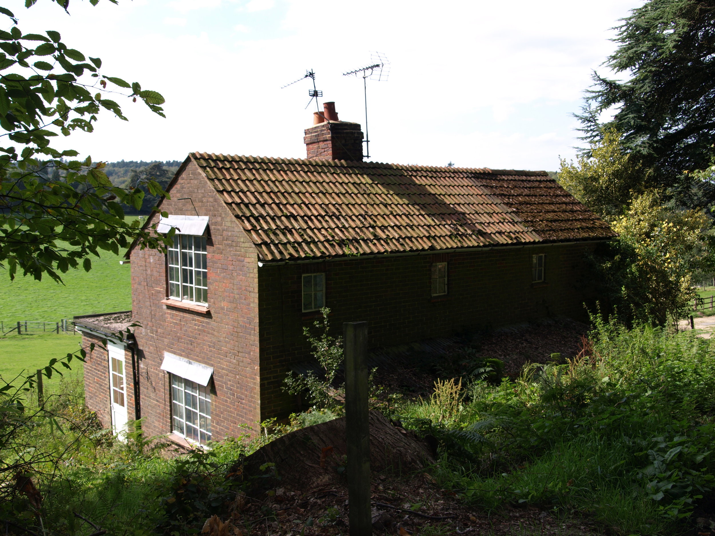 About Surrey Hills Holiday Cottages Holly Cottage