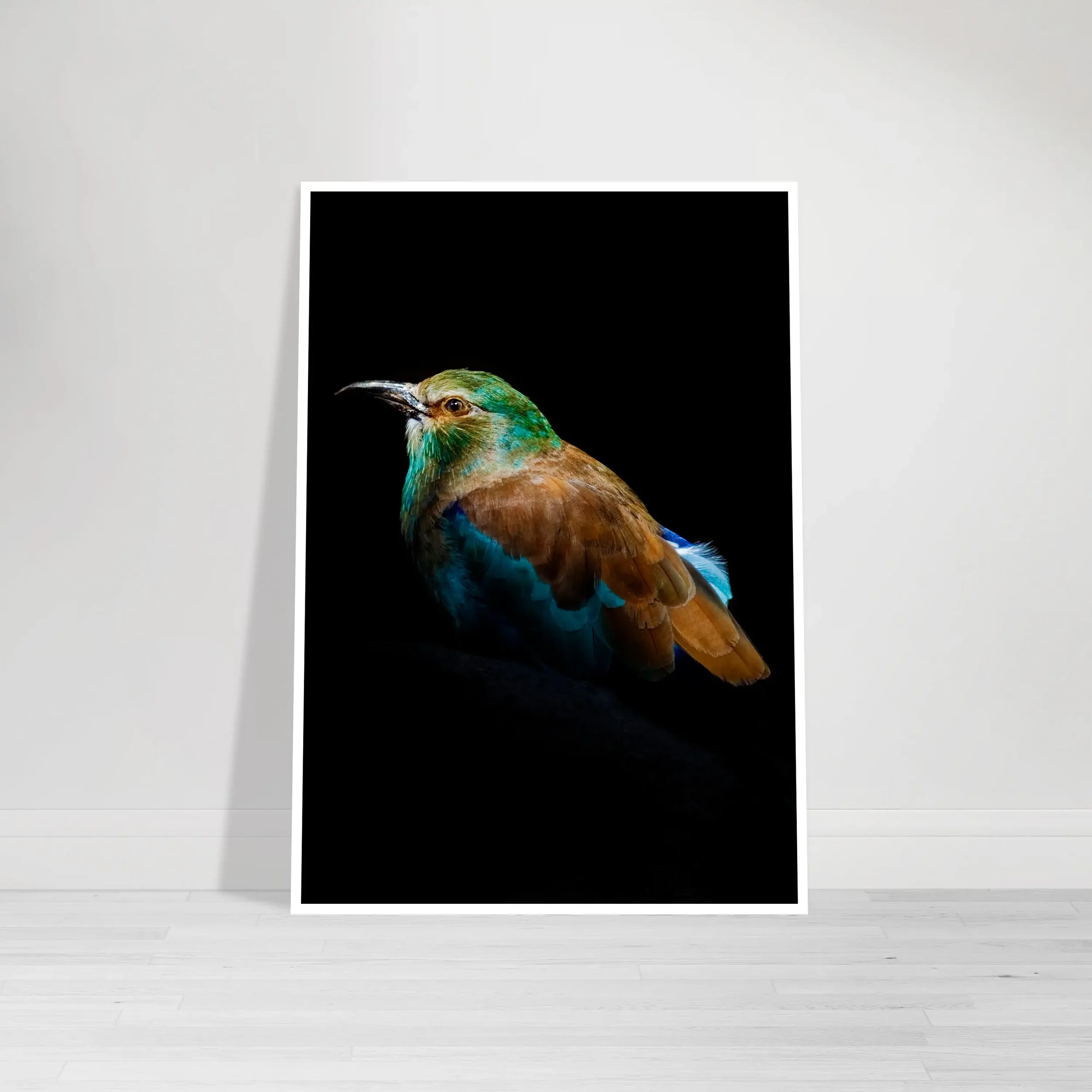 Portrait of a European Roller: Portrait of Animal – Fine Art Print
