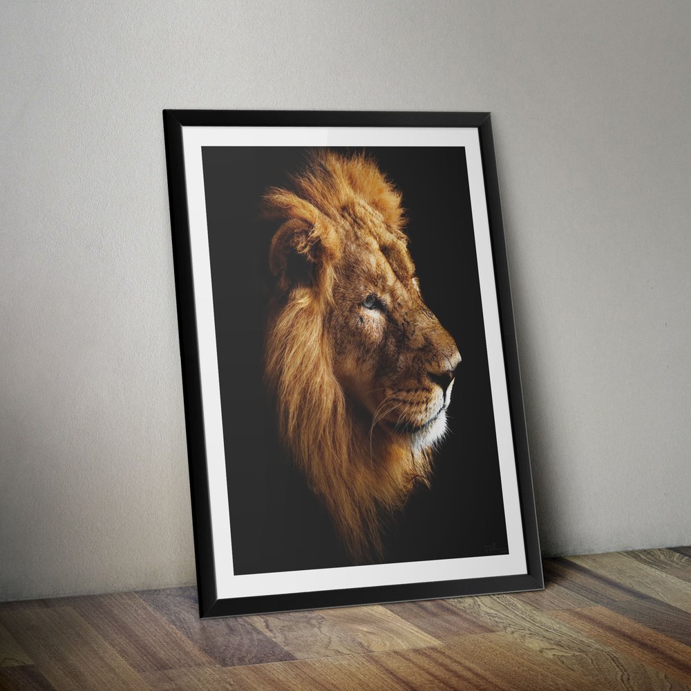 Portrait of a Lion - Poster