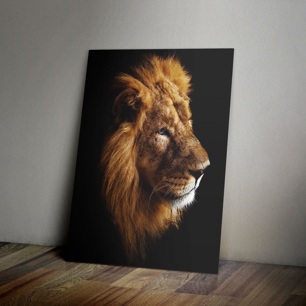 Portrait of a Lion - Metal Poster