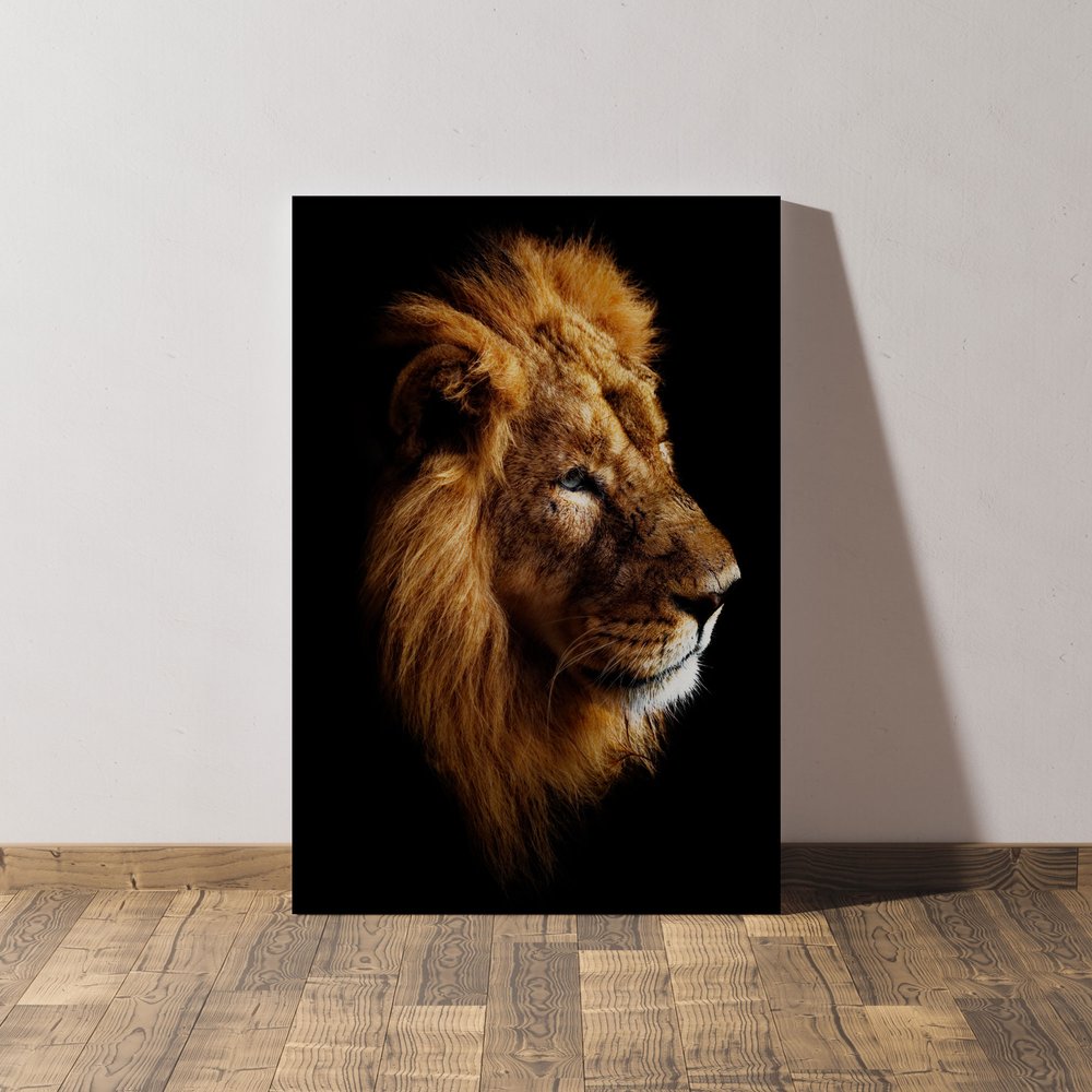 Portrait of a Lion - Canvas