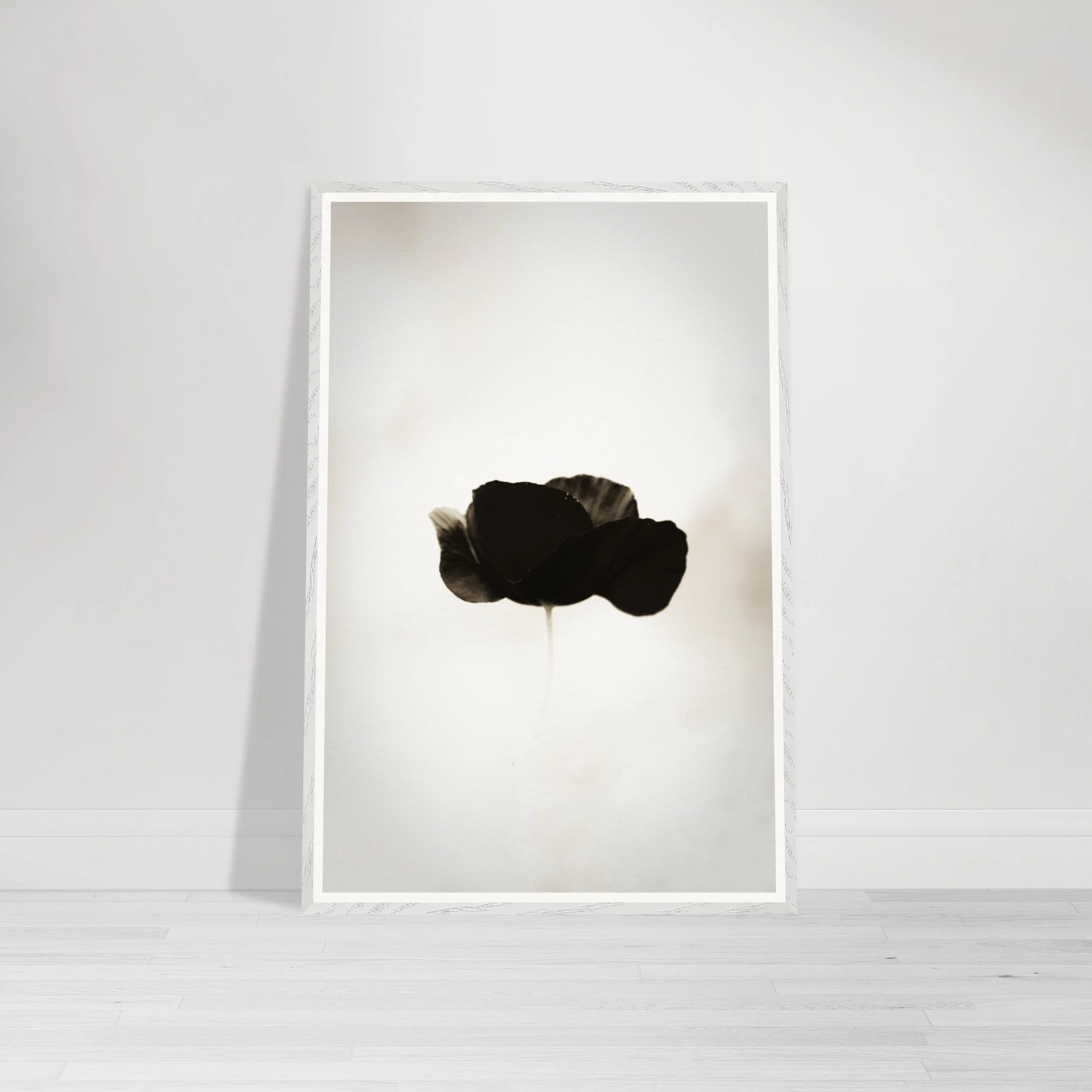 Single dark poppy in sepia tones with gentle atmospheric haze.