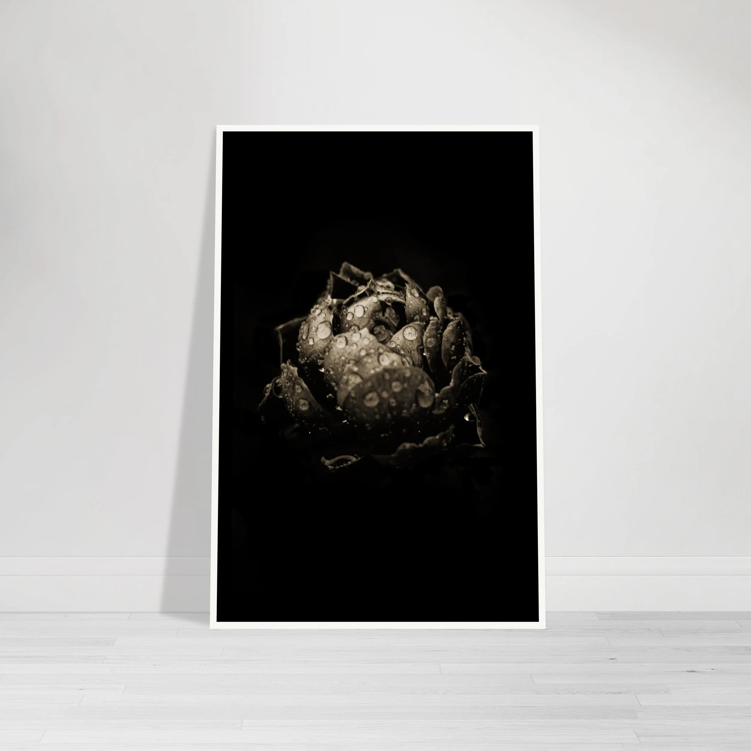 Black Rose – Beautiful Imperfection Fine Art Print