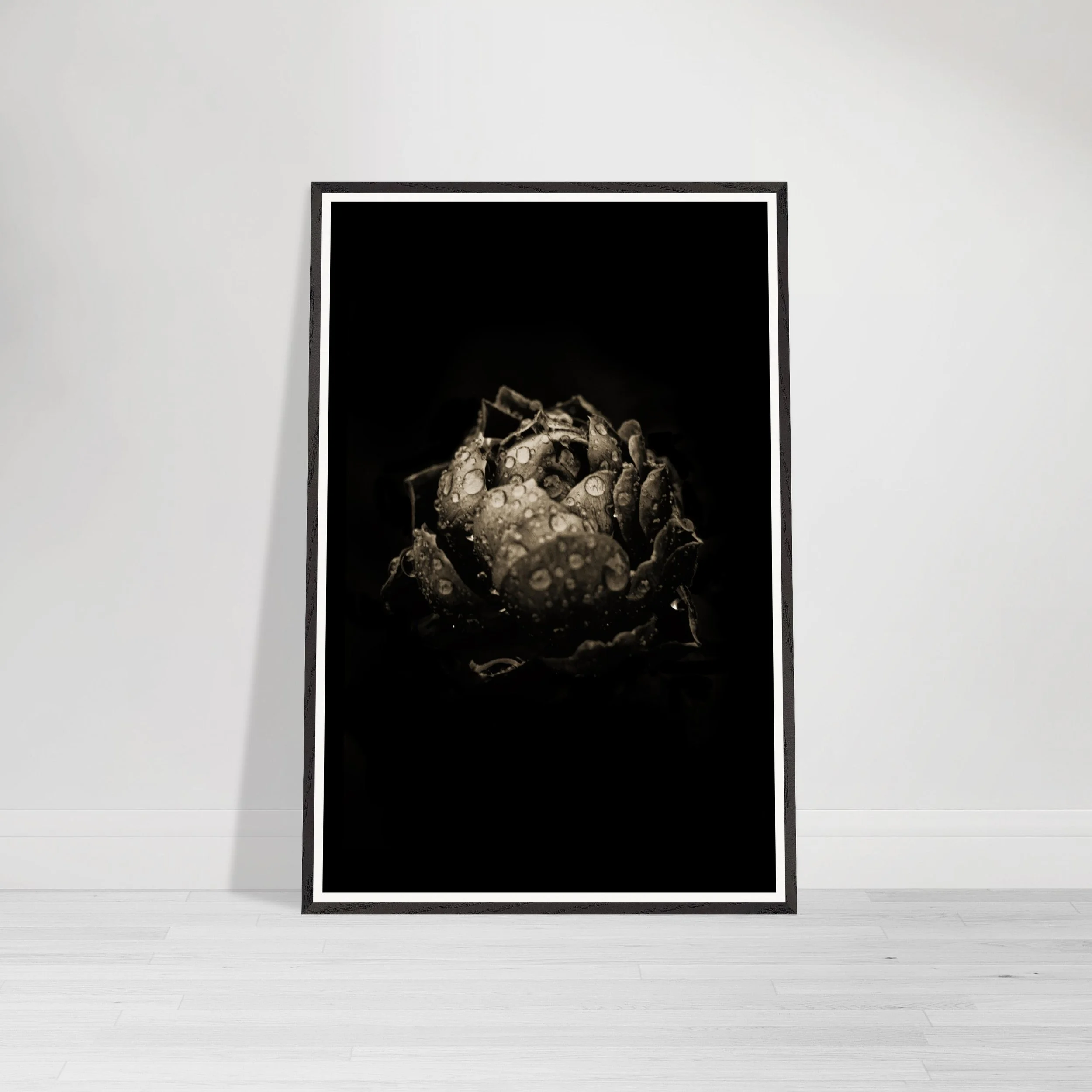 Beautiful Imperfection series artwork featuring a textured water-drenched black rose.