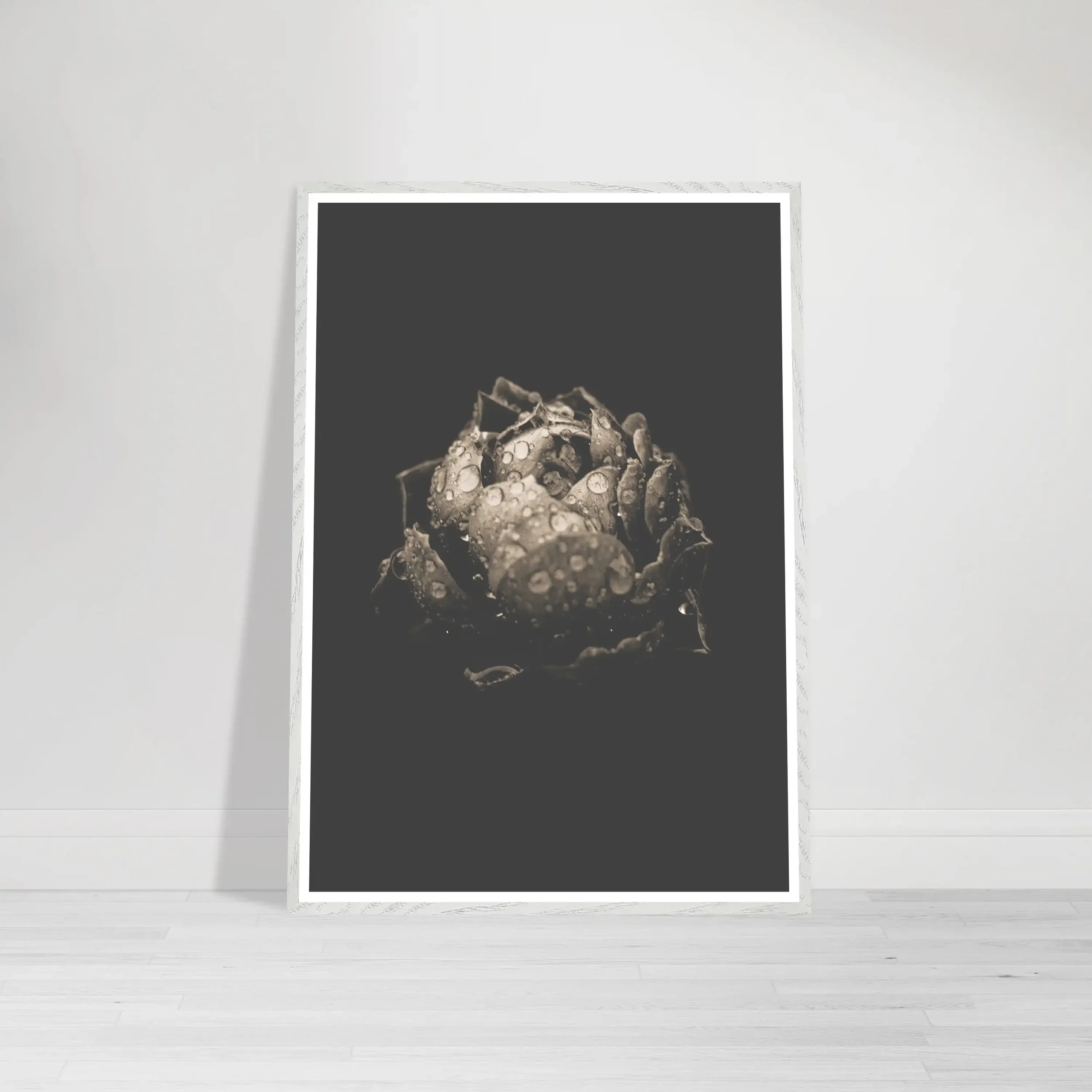 Beautiful Imperfection series artwork featuring a textured water-drenched black rose in a fine art White frame