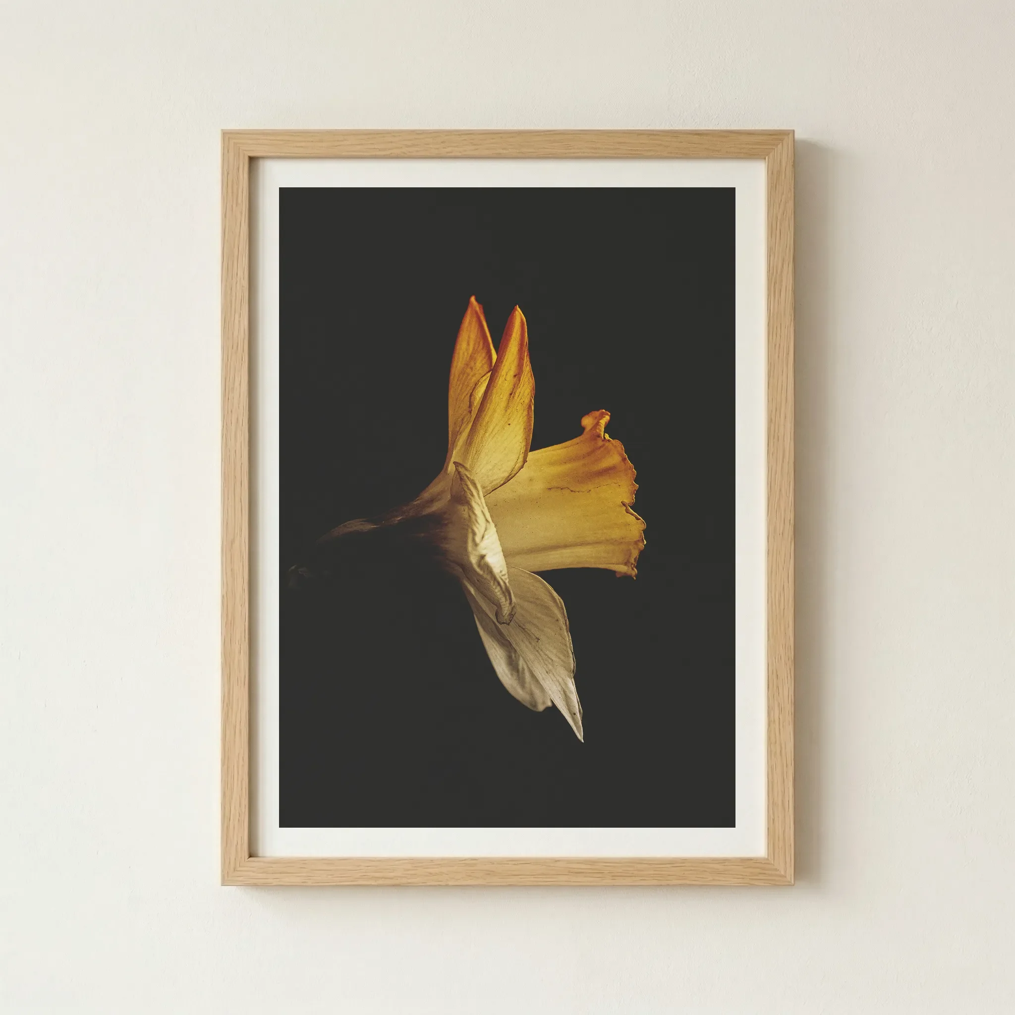 Beautiful Imperfection daffodil print in a natural wood frame, adding an organic, earthy warmth to the delicate floral subject.