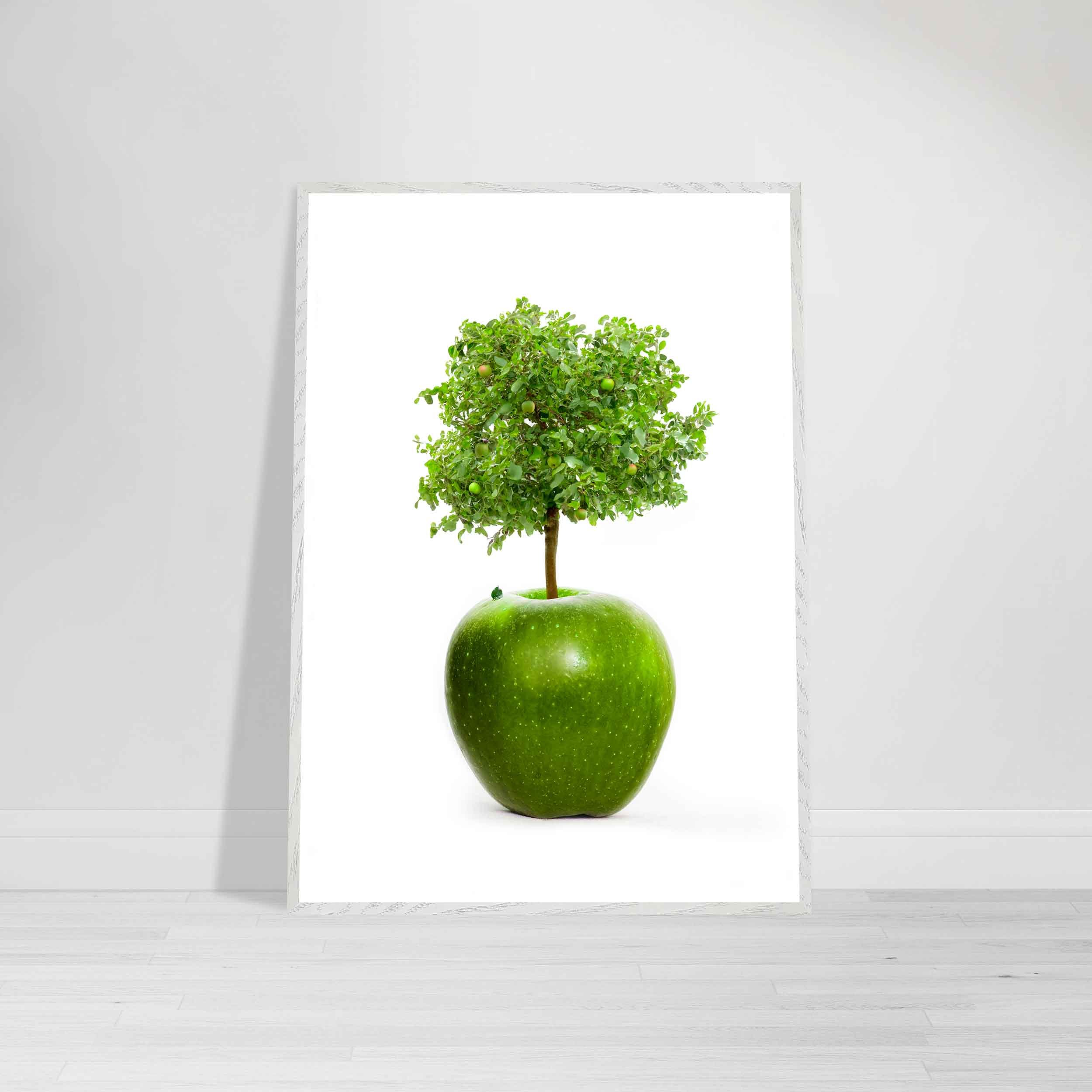 Fine art print of a tree growing out of an apple on a white background – a symbolic image representing growth, wisdom, and transformation