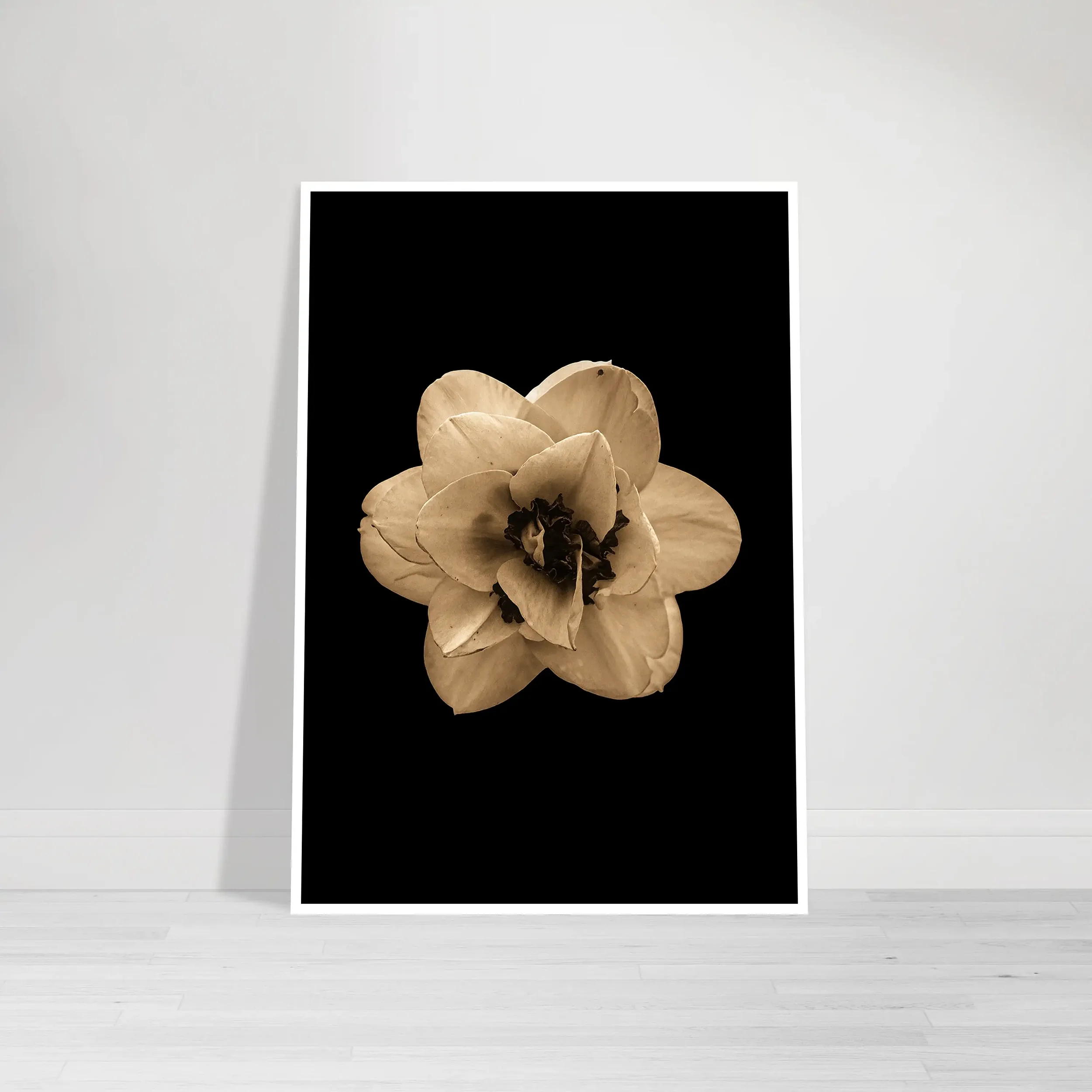 Narcissus - Fine Art Print