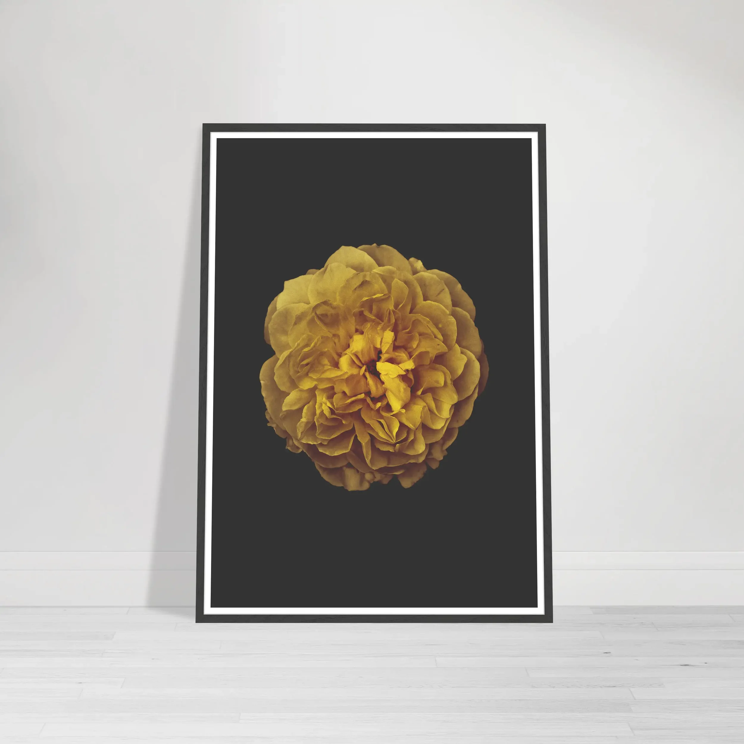 The 'Rose' print in a black wooden frame, creating a seamless, dramatic look that makes the golden floral tones appear to glow from the darkness.