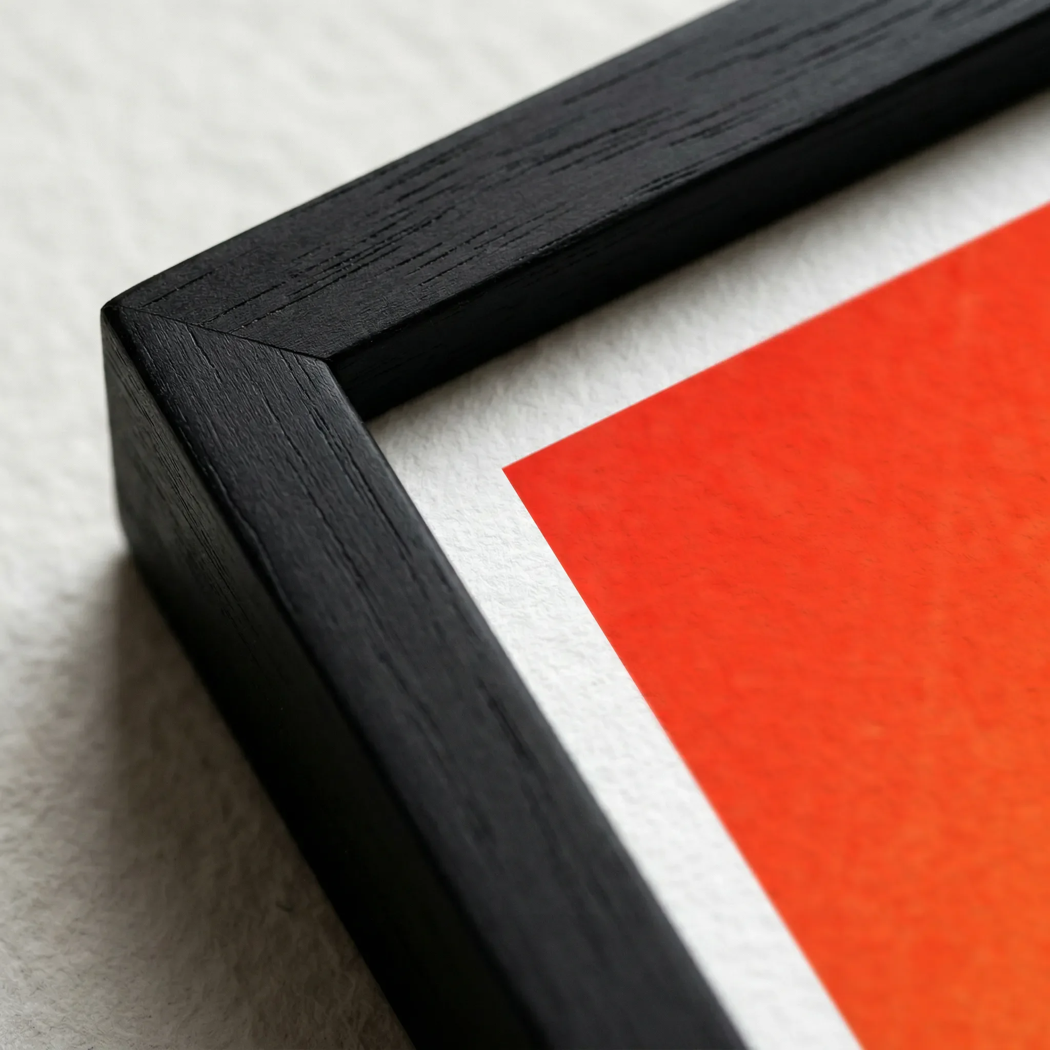 Cancer the Crab Black Frame Micro Close up