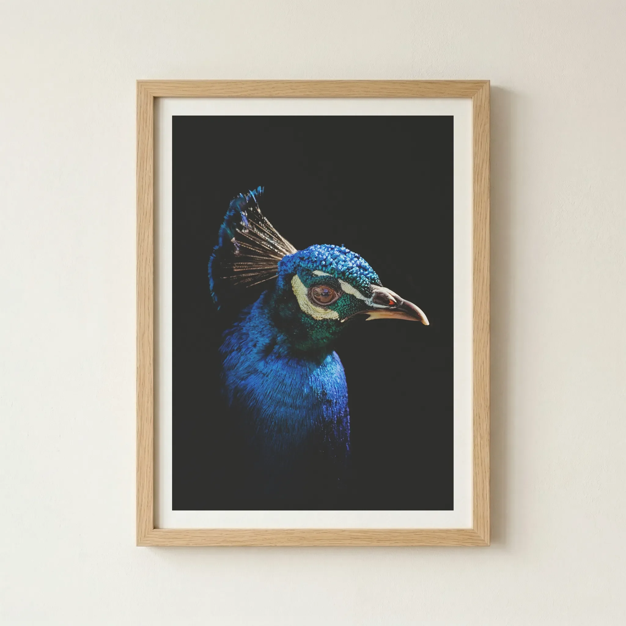 'Peacock' fine art print in a natural wood frame, adding an organic warmth that balances the high-tech iridescence of the feathers.
