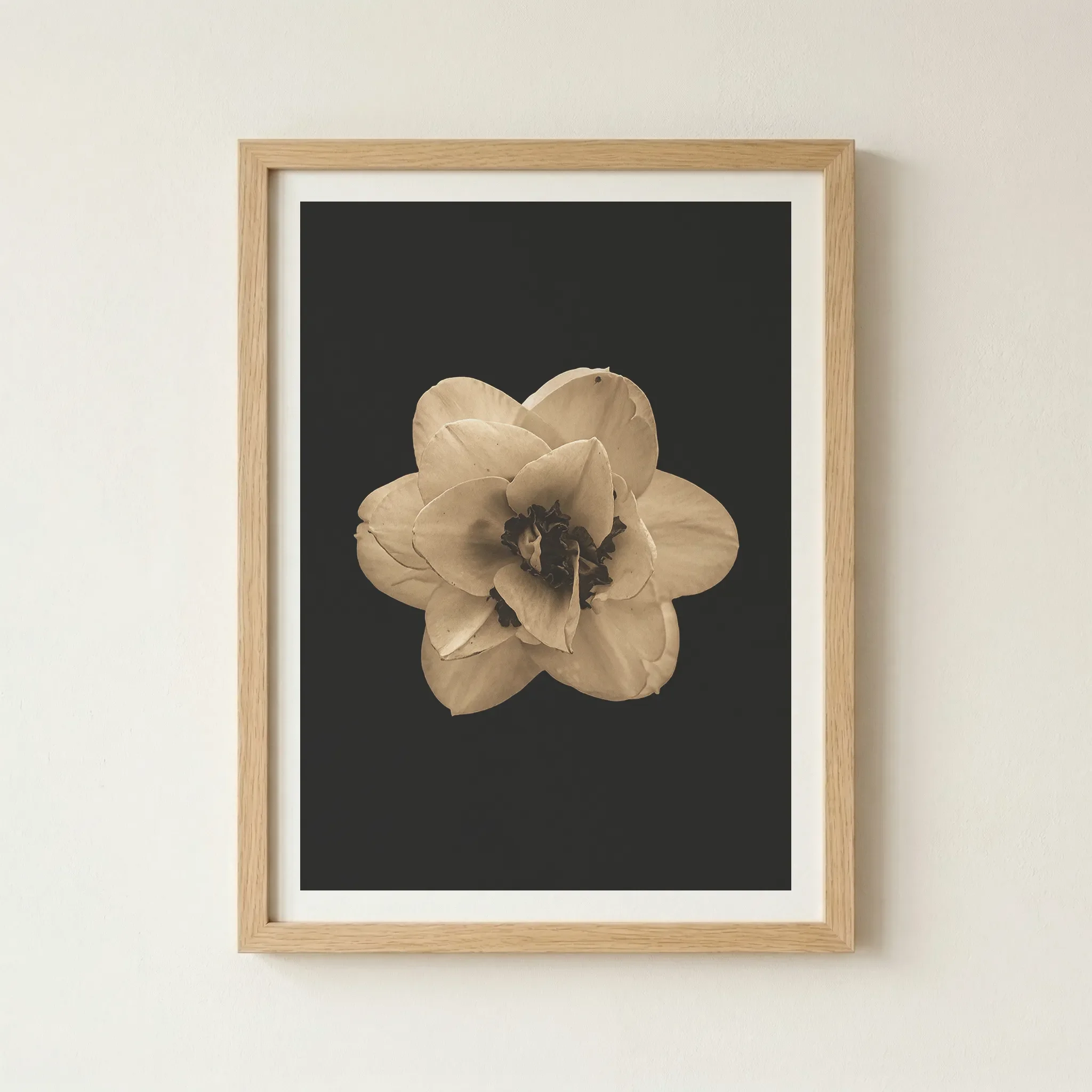 'Narcissus' print in a natural wood frame, adding an earthy, grounded warmth to this study of botanical transition.