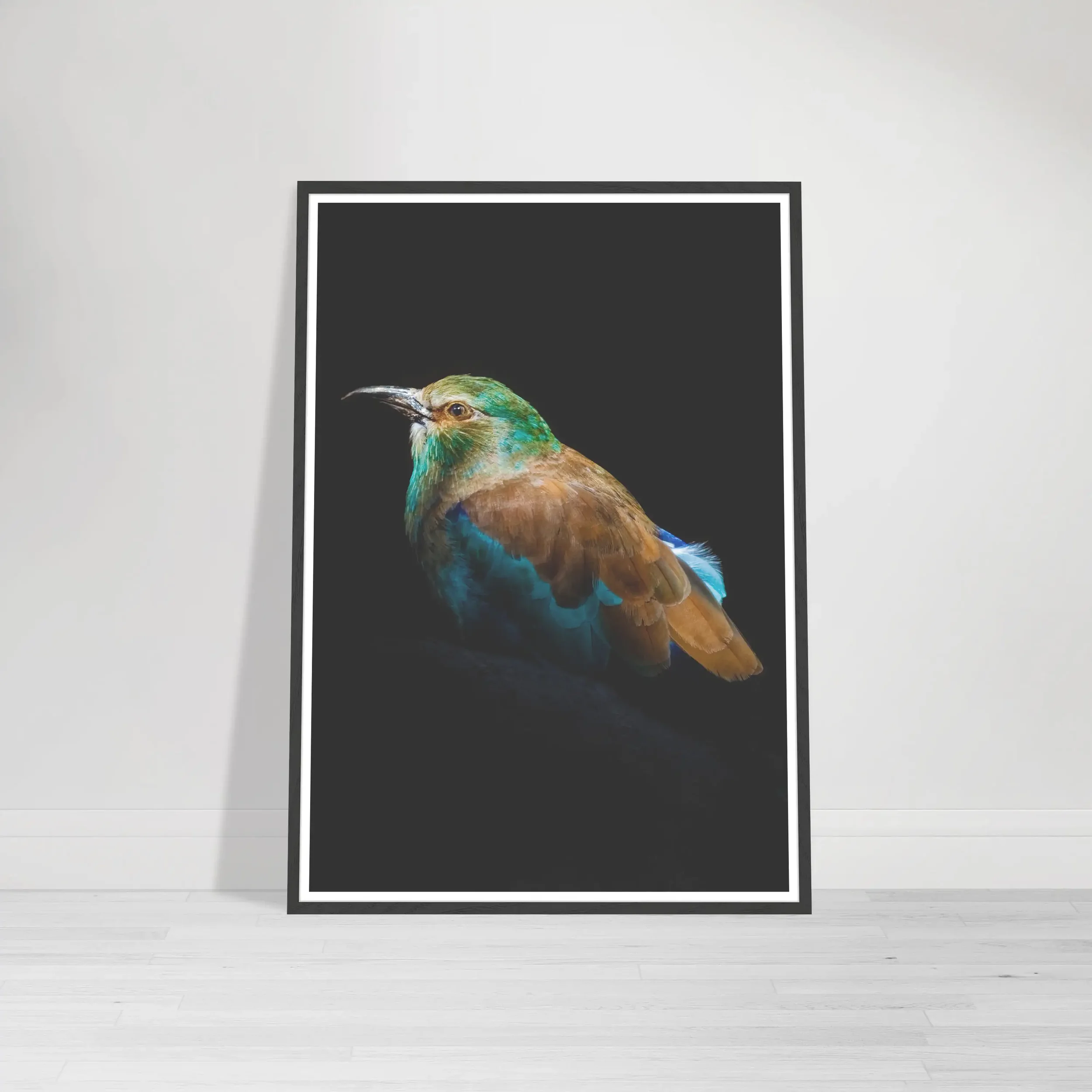 The 'European Roller' print in a black wooden frame, creating a seamless, high-contrast look that makes the bird's colourful plumage appear to glow.