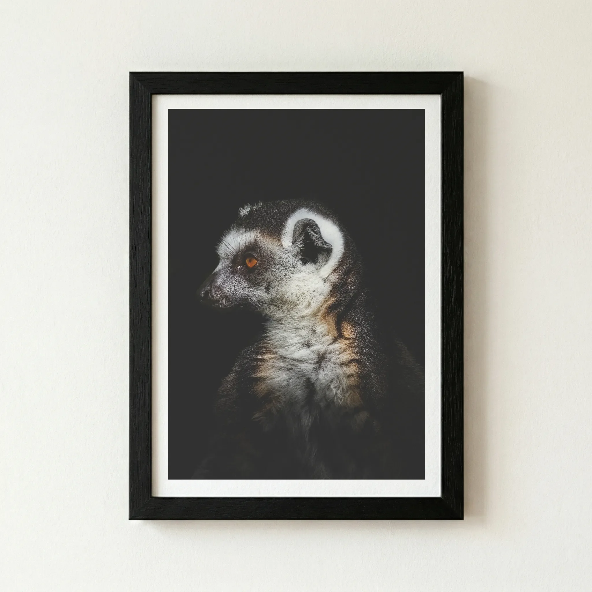 The 'Lemur' fine art print in a black wooden frame, creating a deep, seamless border that makes the monochromatic fur appear exceptionally sharp.