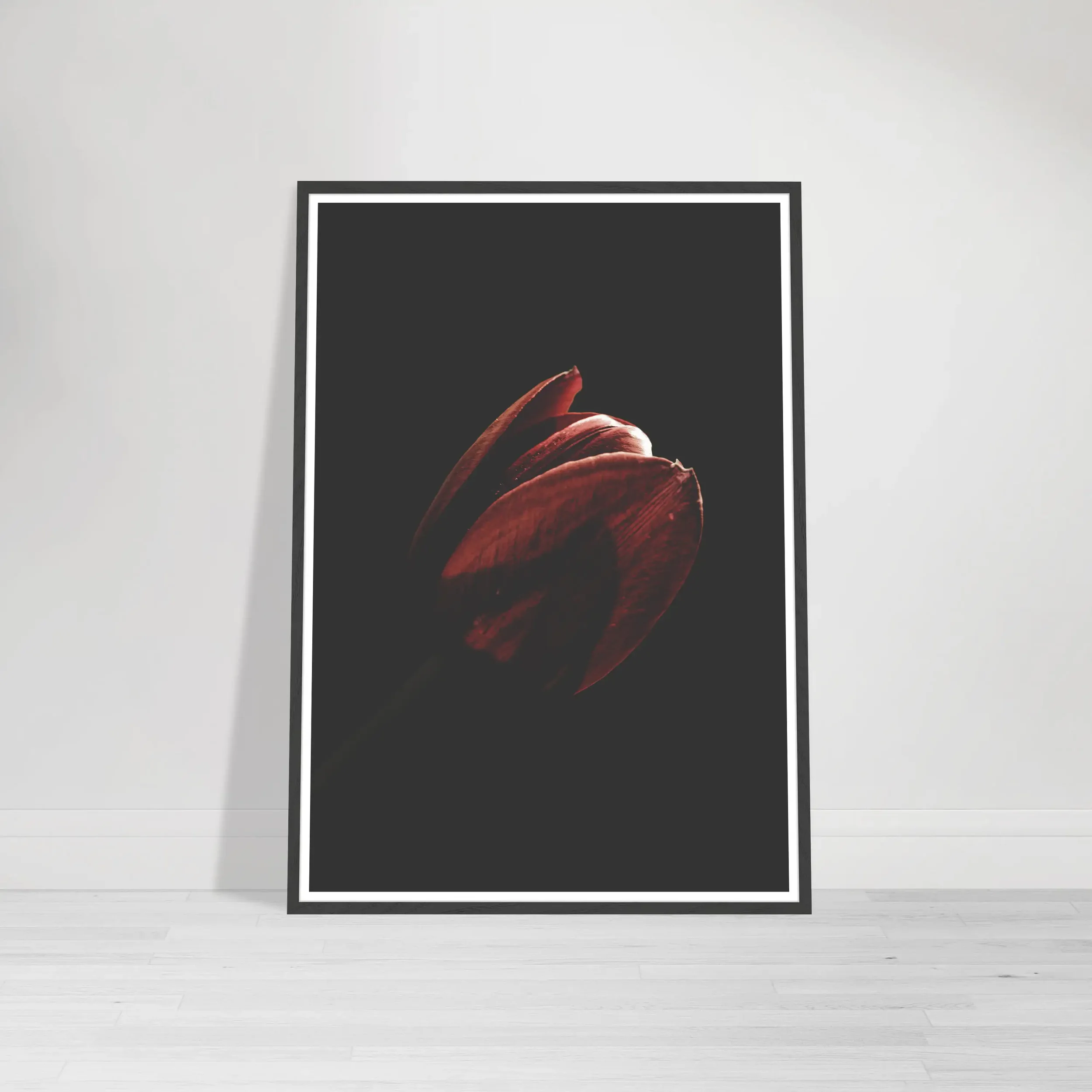 The Tulip print in a black wooden frame, which blends into the dark background to create a seamless, high-drama "floating" effect for the flower.