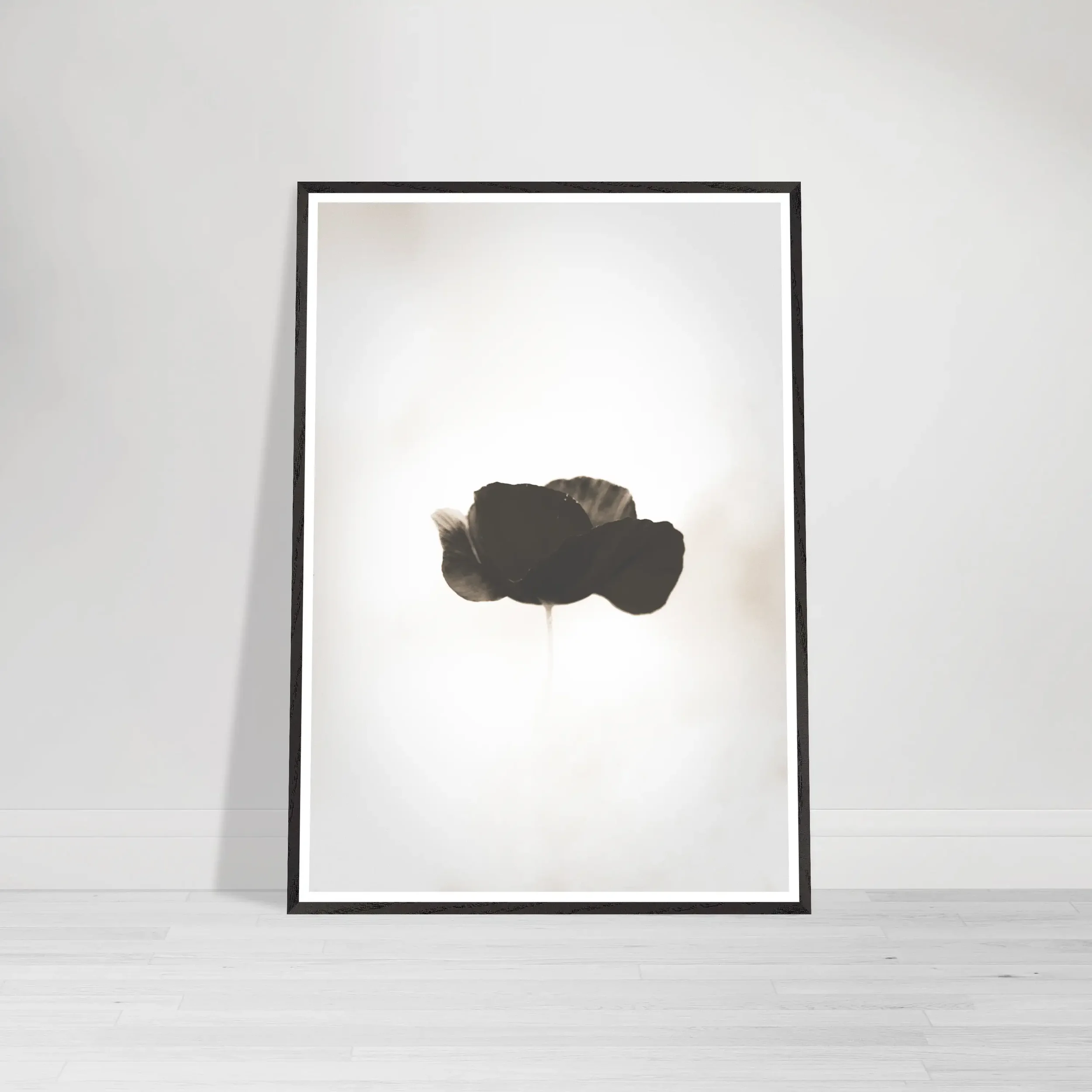 Single dark poppy in sepia tones with gentle atmospheric haze on a black frame