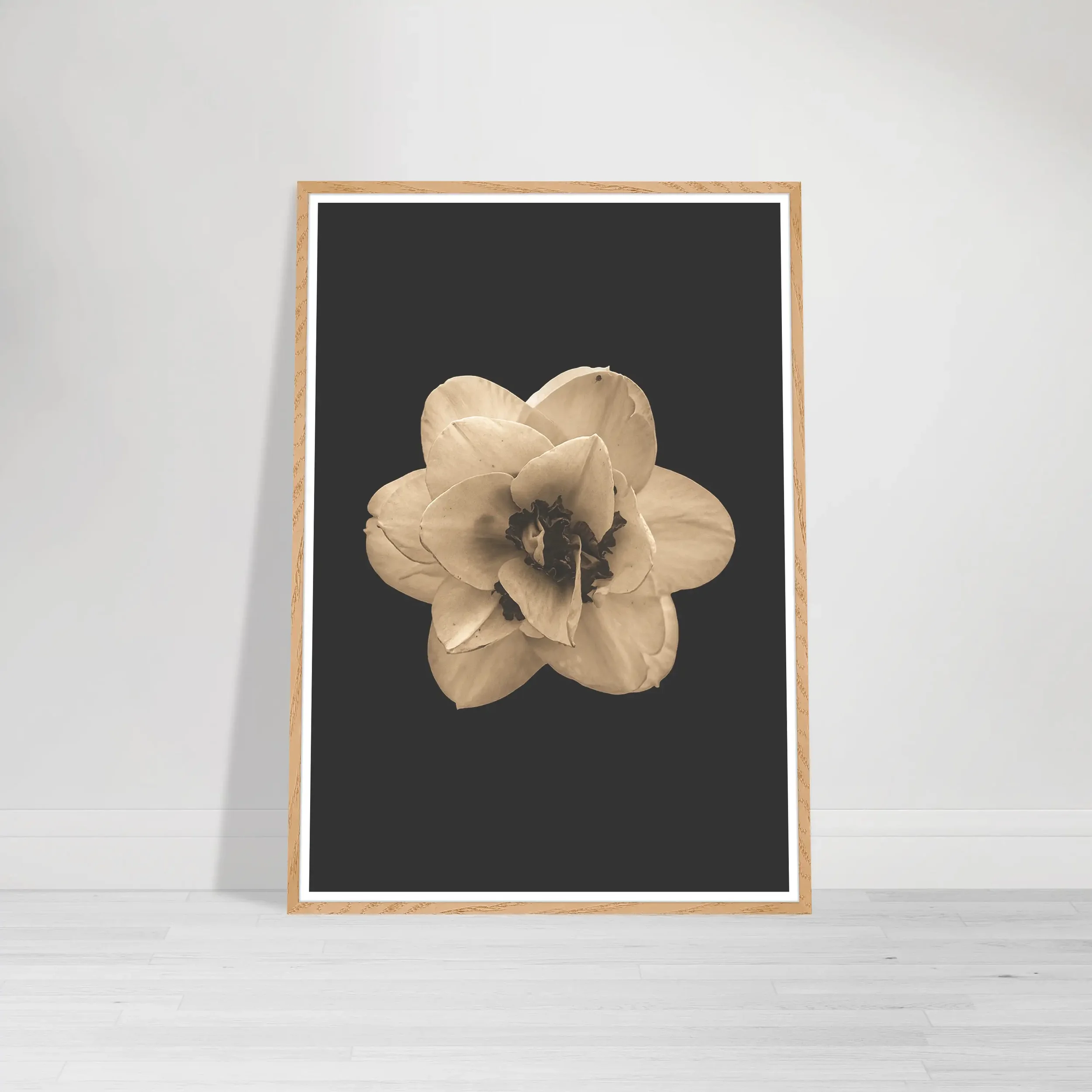Botanical fine art print of a Narcissus flower, symbolising self-love and reflection, showcased in a sleek wood wooden frame.