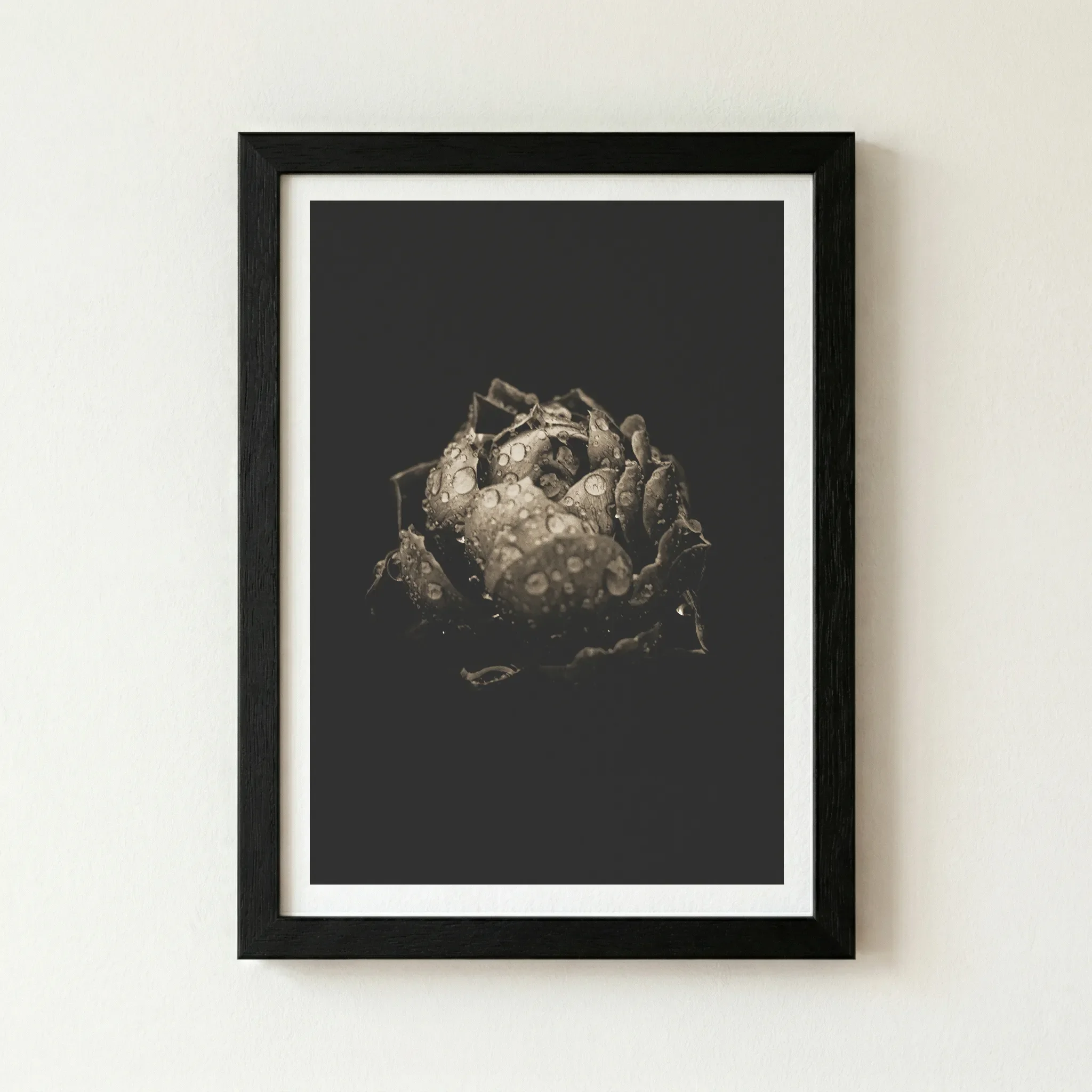 The Black Poppy artwork in a sleek black wooden frame, enhancing the moody, high-contrast silhouette of the flower.