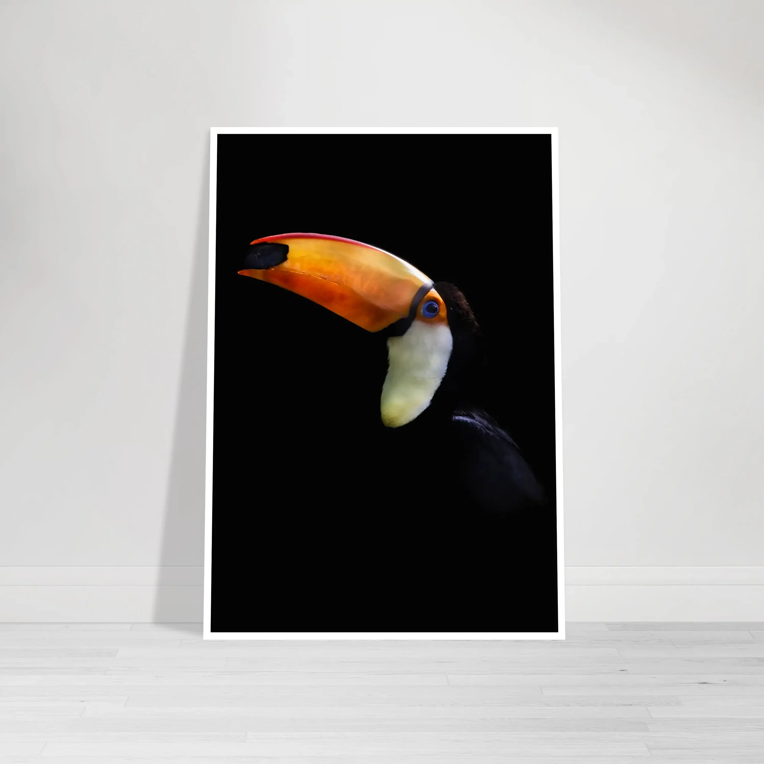 Portrait of a Toco Toucan: Portrait of Animal – Fine Art Print