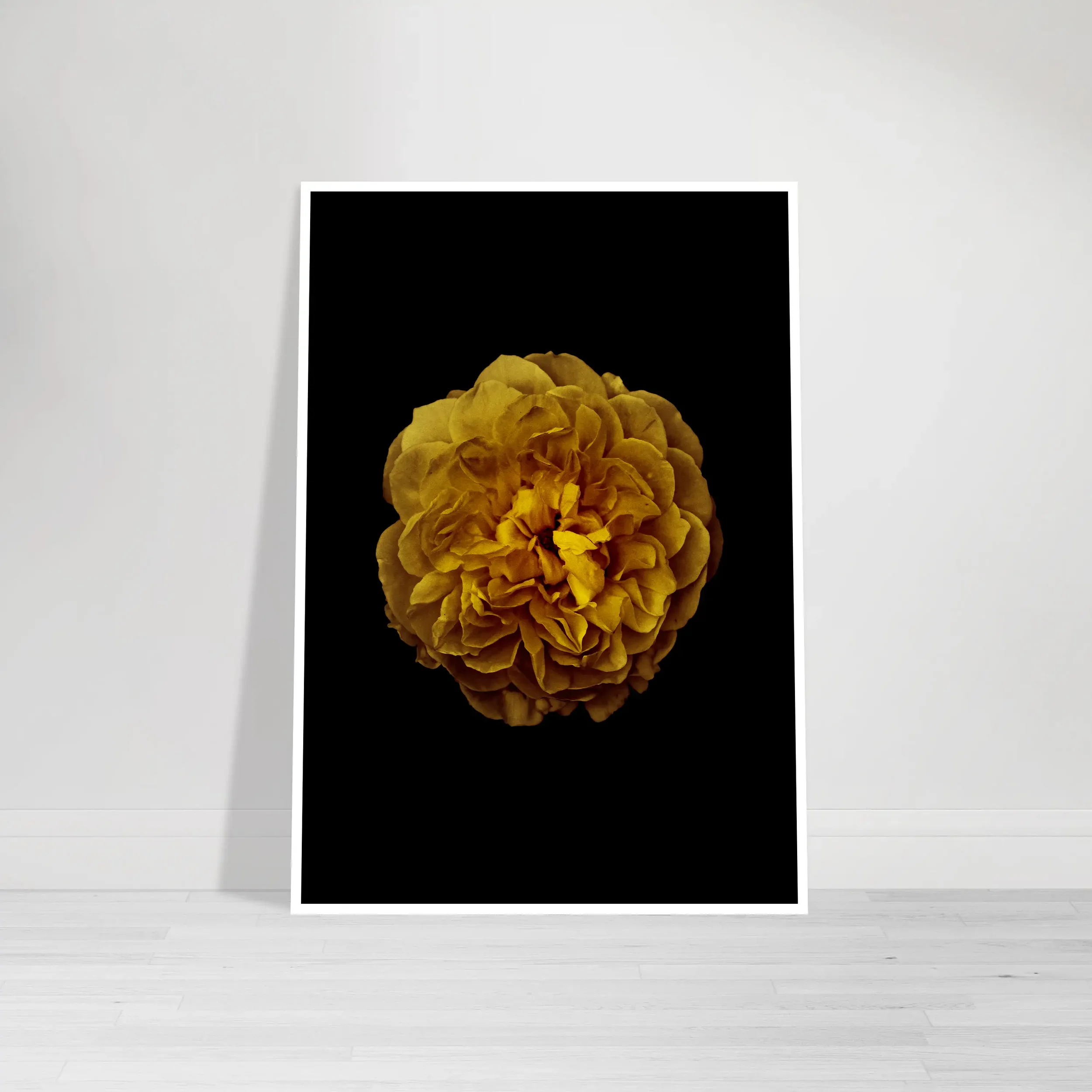 Rose: Beautiful Imperfection - Fine Art Print