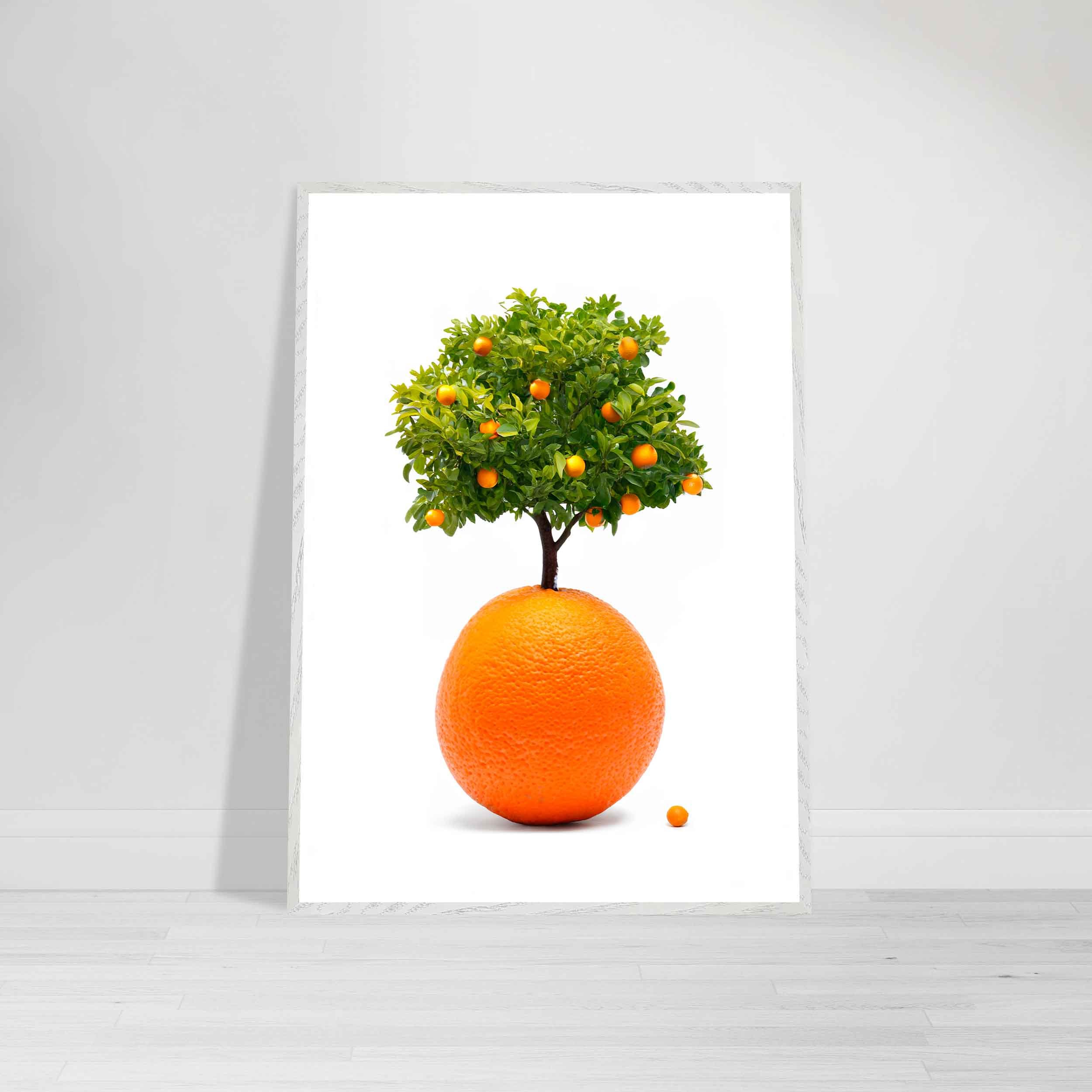 _Print-White-Framed-The-Orange-Tree-on-wall.jpg