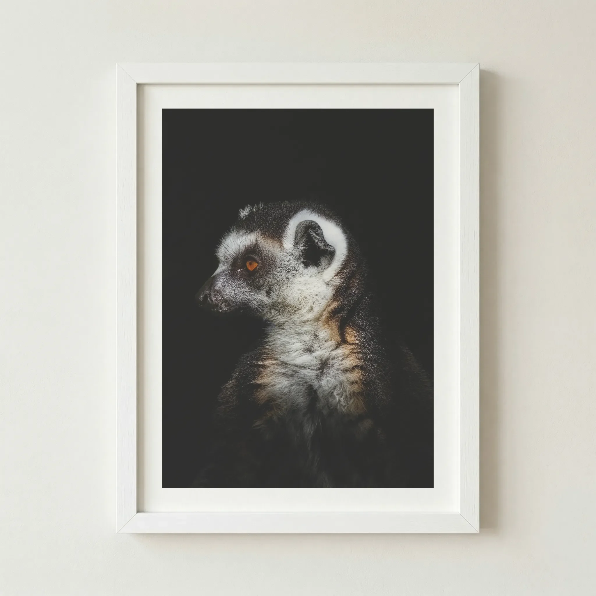 'Lemur' print in a white frame, offering a crisp, contemporary contrast that emphasises the stark blacks and whites of the lemur's markings.