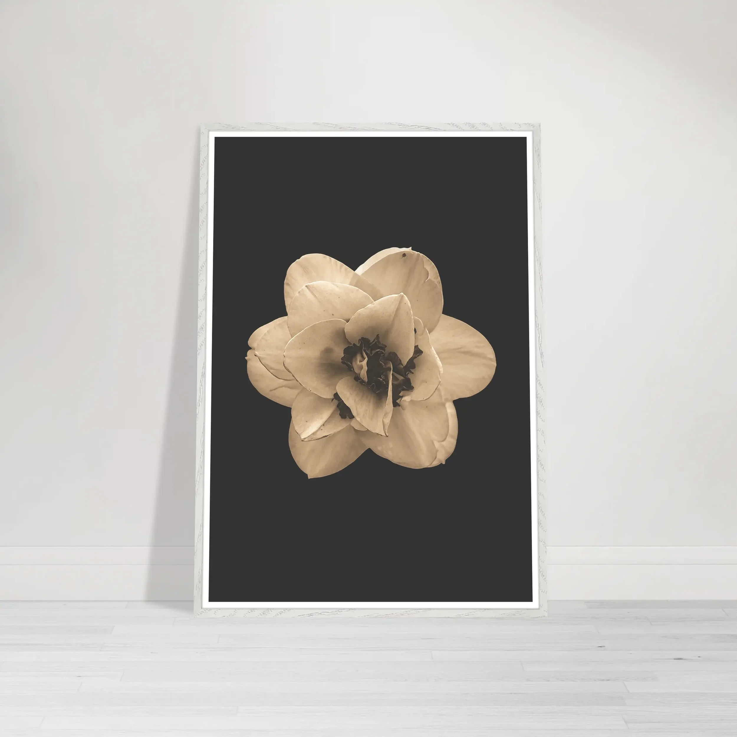 Botanical fine art print of a Narcissus flower, symbolising self-love and reflection, showcased in a sleek white wooden frame.