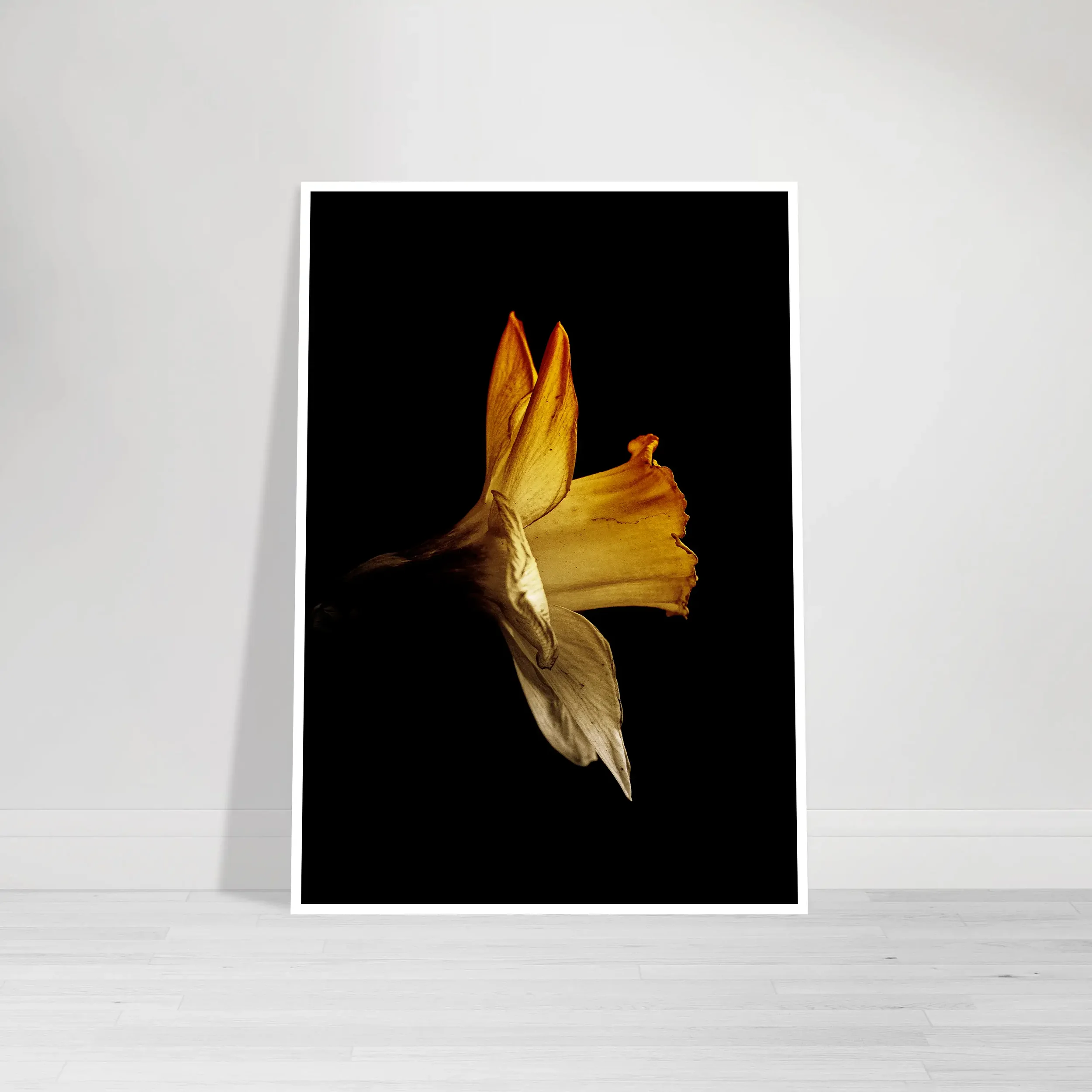 Daffodil – Beautiful Imperfection Series – Fine Art Print