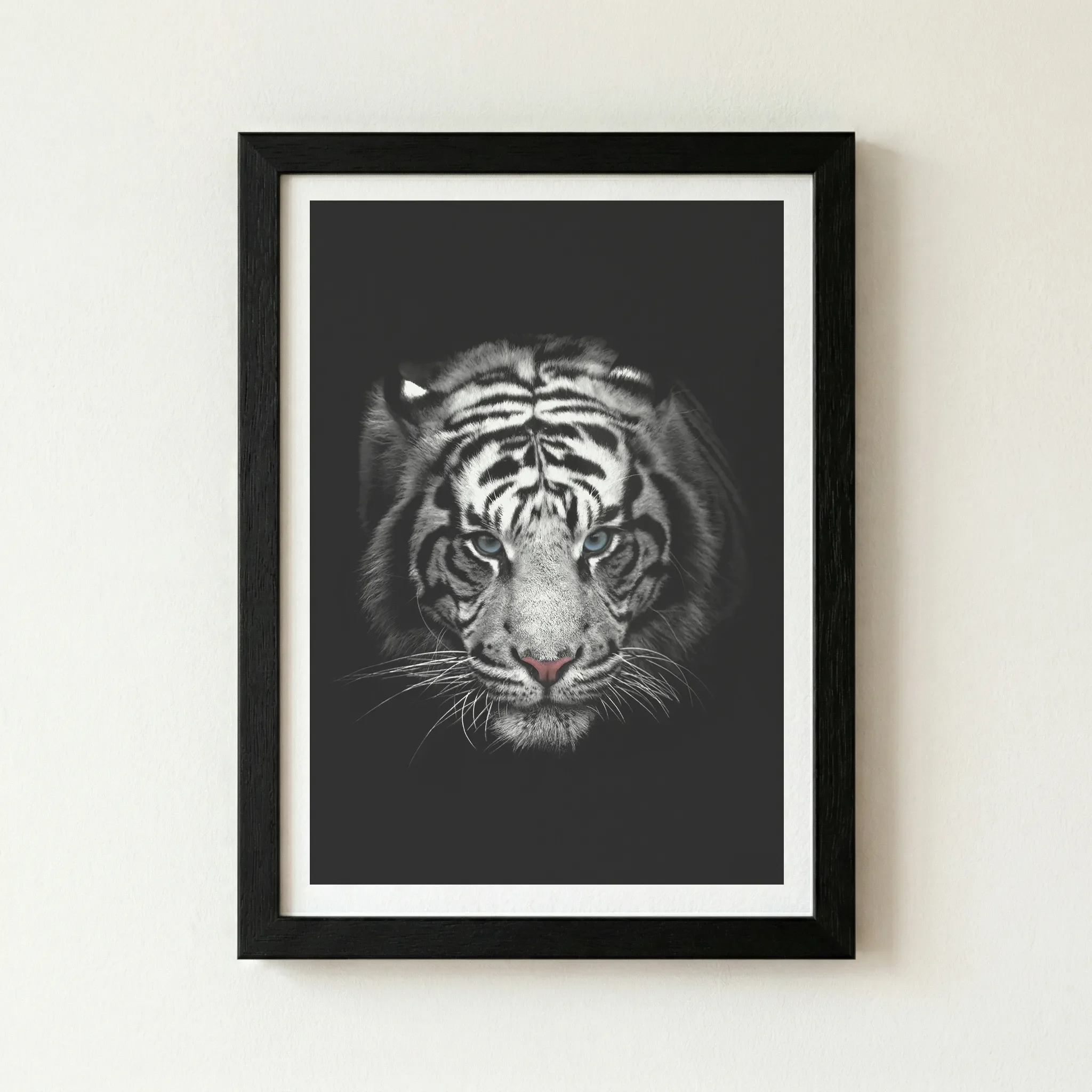 The 'Portrait of a White Tiger' print in a black wooden frame, creating a seamless, dramatic extension of the dark shadows that makes the white fur appear luminous.
