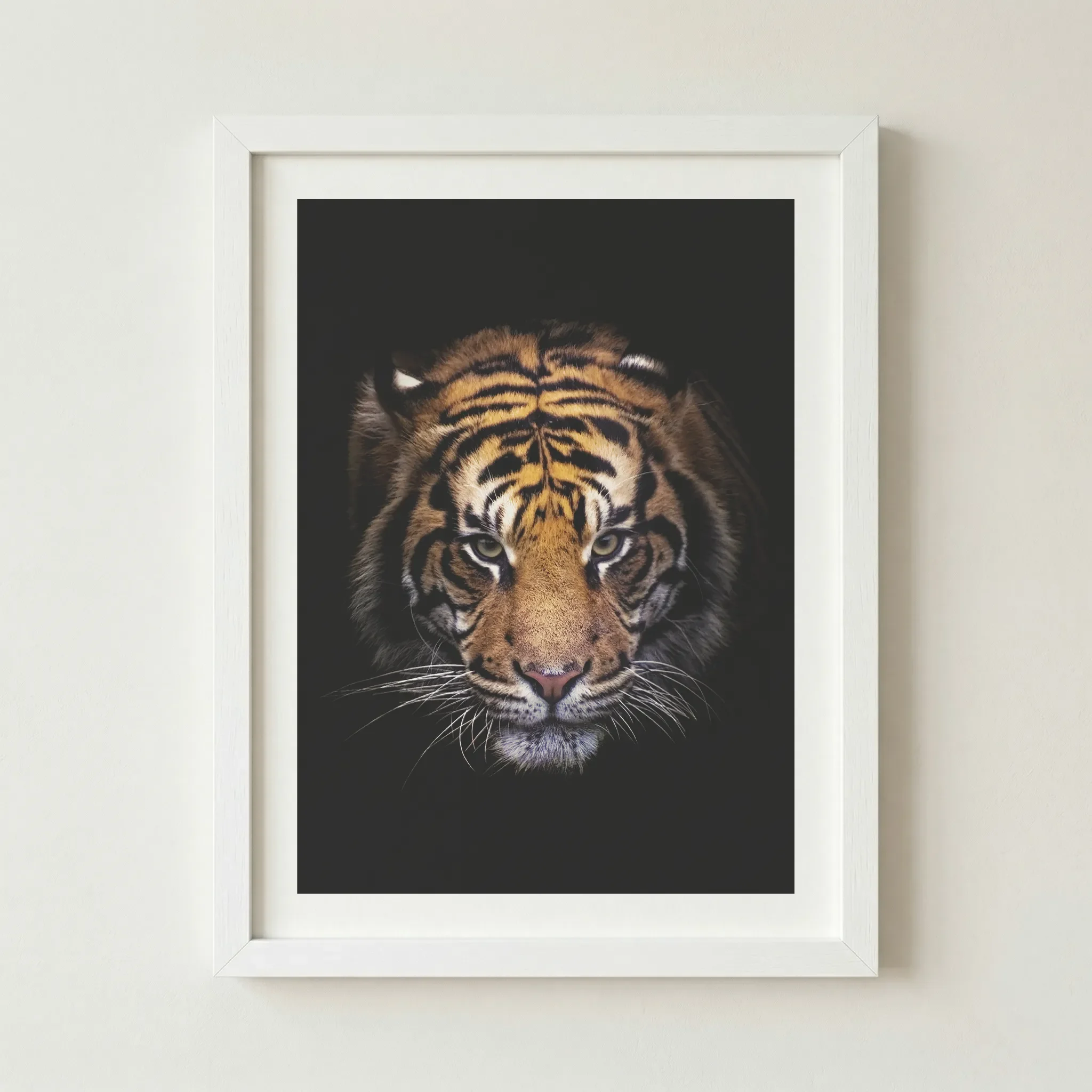 'Tiger' fine art print in a white frame, providing a crisp contrast that makes the vibrant orange tones and piercing gaze pop intensely.