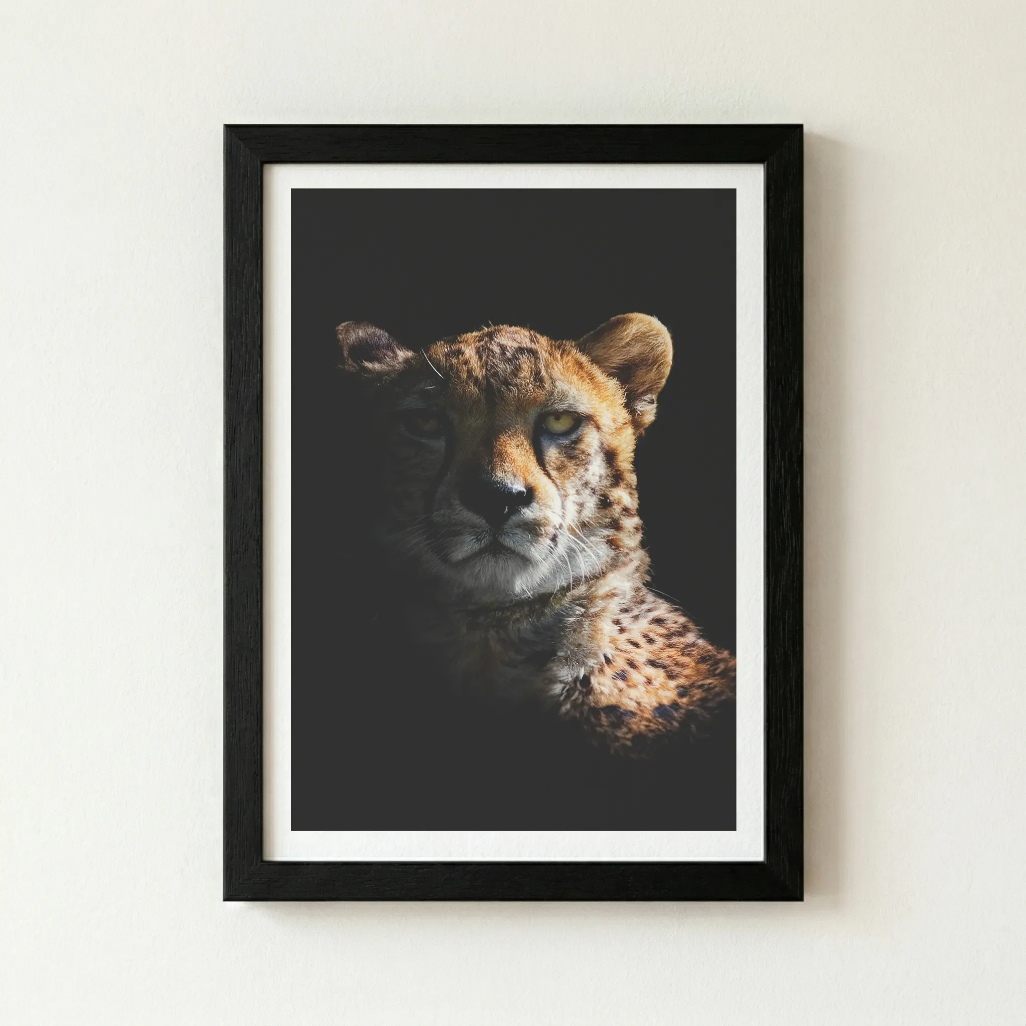 The 'Portrait of a Cheetah' fine art print in a black wooden frame, creating a seamless, dramatic extension of the dark shadows for a bold gallery look.