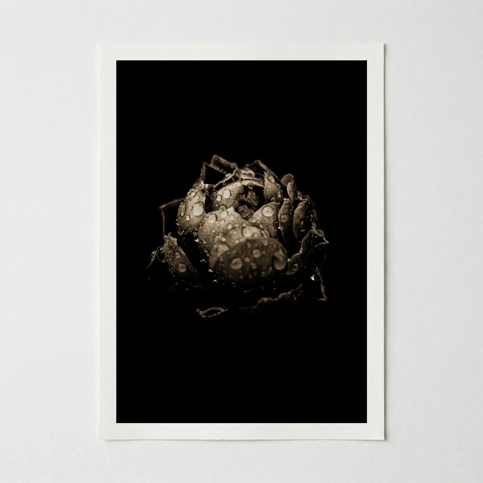 Close-up of the Black Poppy poster on 200gsm museum-grade matte paper, highlighting the soft-focus aesthetic and sepia-toned nuances.