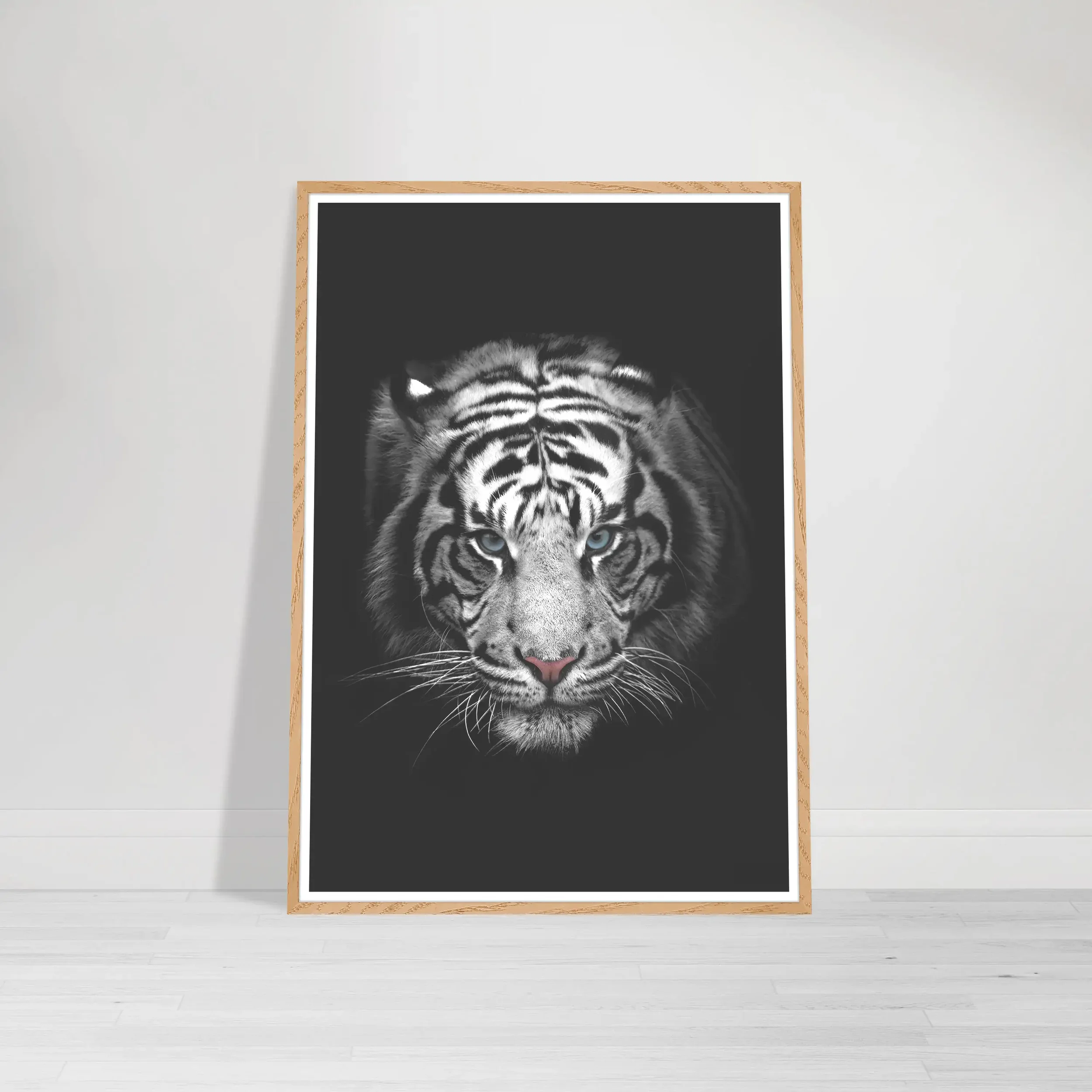 Fine art photograph of a white Bengal tiger with piercing blue eyes and distinctive white fur on a wood frame
