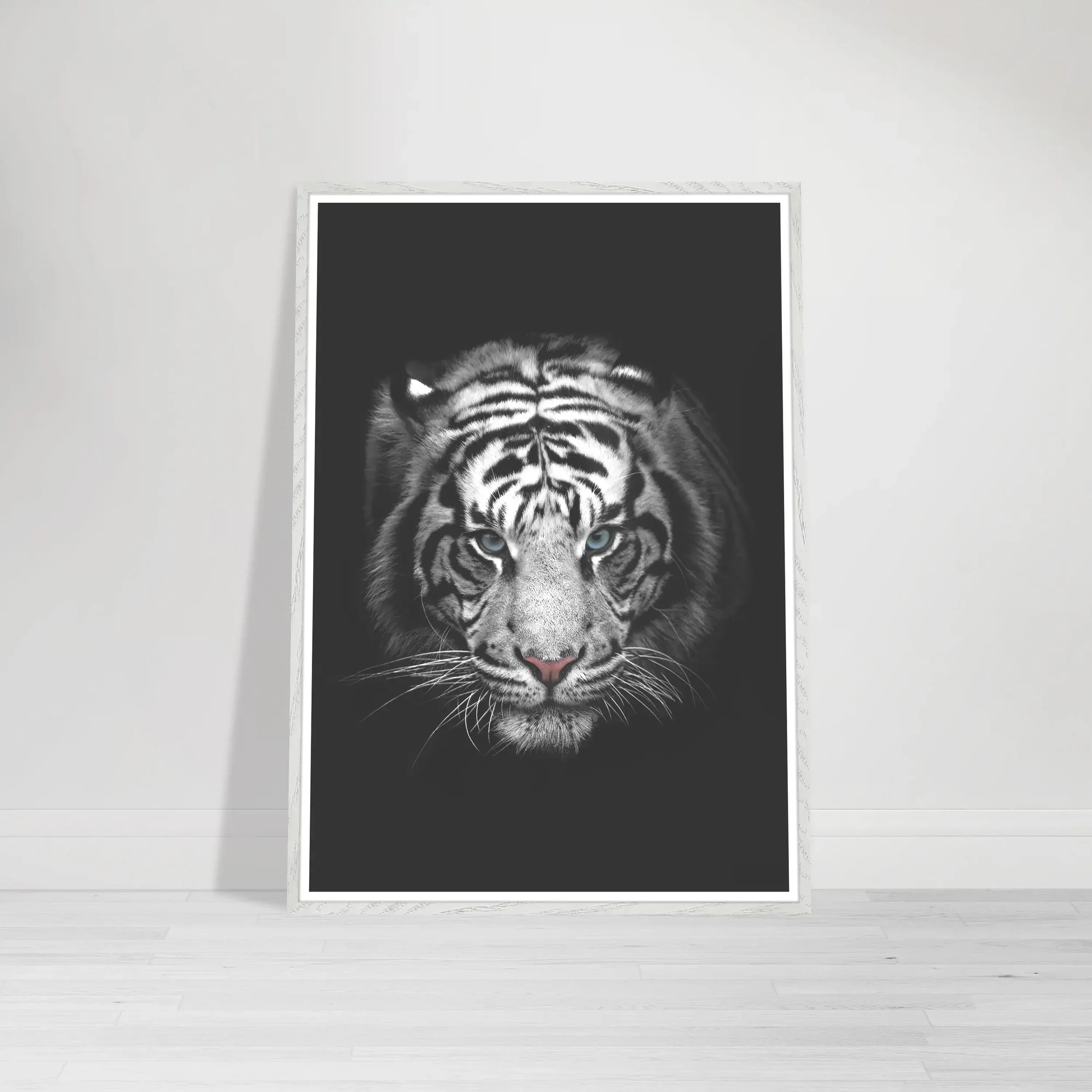 Fine art photograph of a white Bengal tiger with piercing blue eyes and distinctive white fur on a white frame