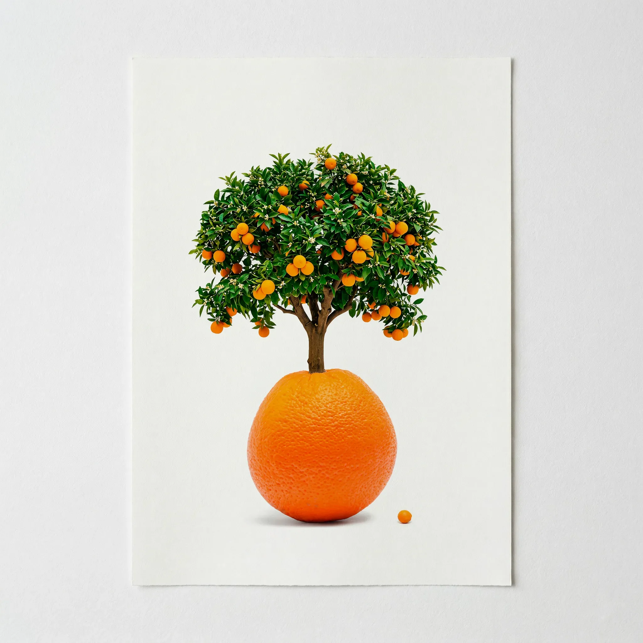 The Orange Tree: Seeds of Becoming – Fine Art Print