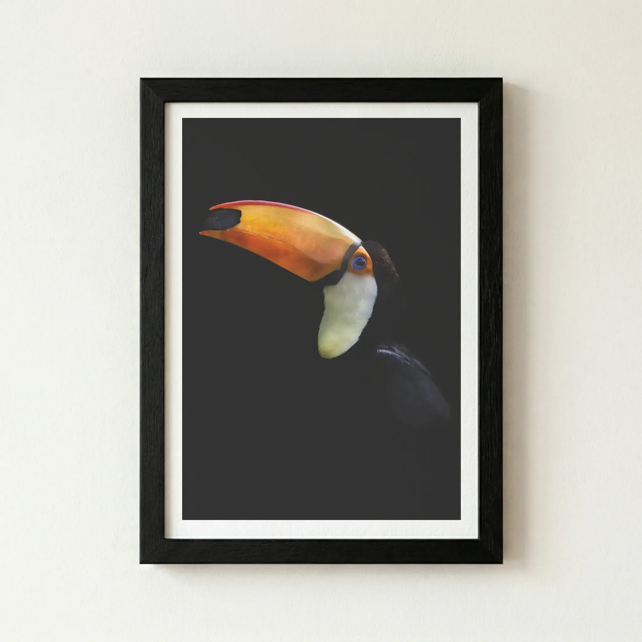 The 'Toco Toucan' print in a black wooden frame, creating a seamless transition from the dark background that makes the orange bill appear to glow.