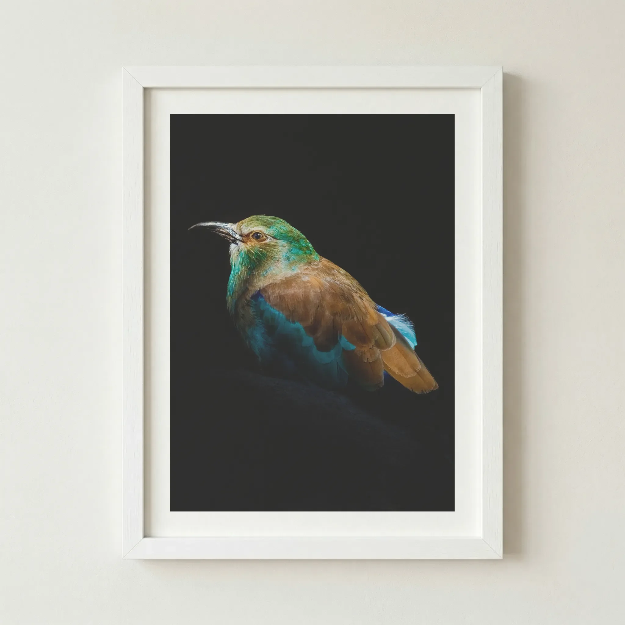 'European Roller' fine art print in a white frame, providing a crisp, modern border that emphasises the bright turquoise and azure tones.