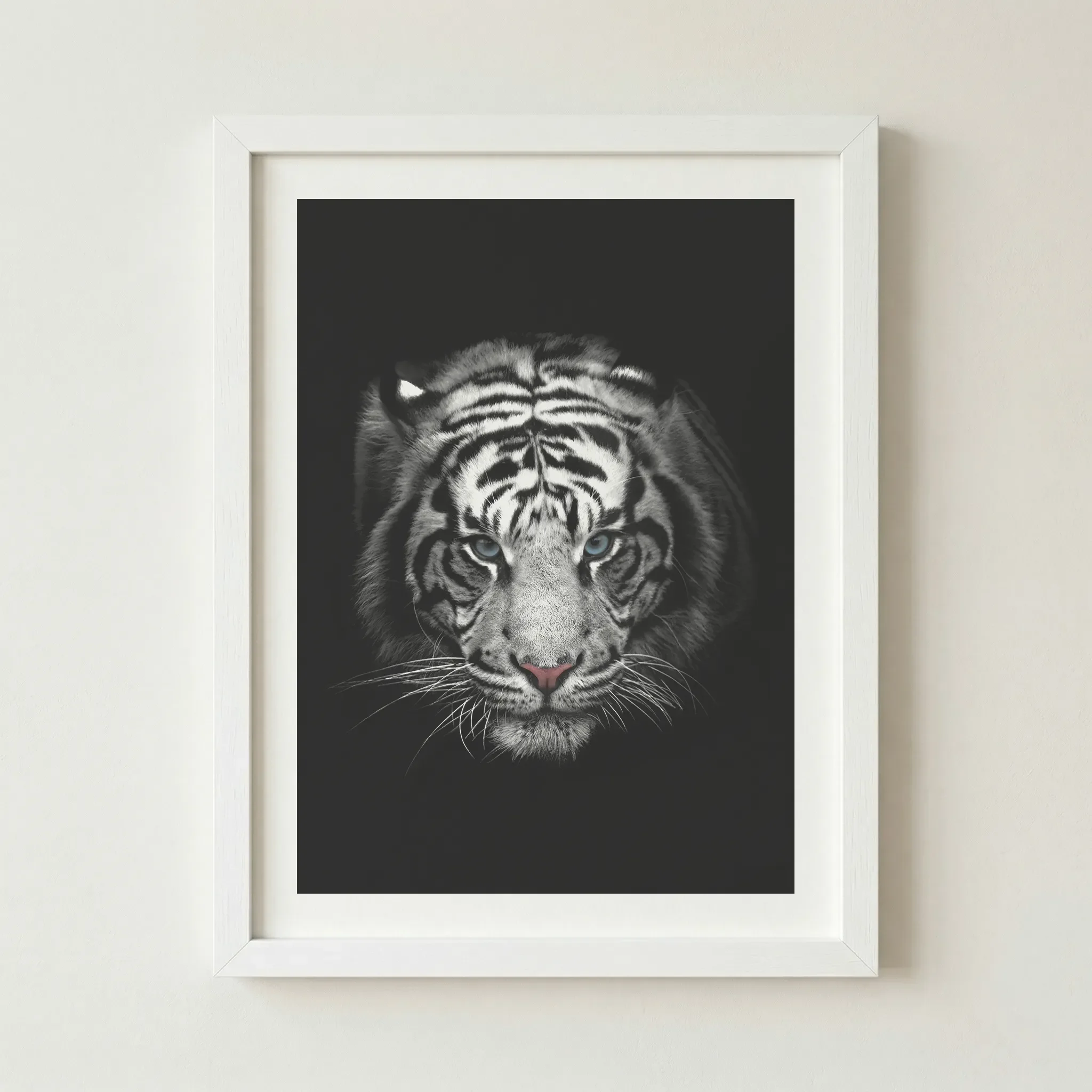 'White Tiger' fine art print in a white frame, providing a crisp, modern boundary that enhances the monochromatic aesthetic of the subject.