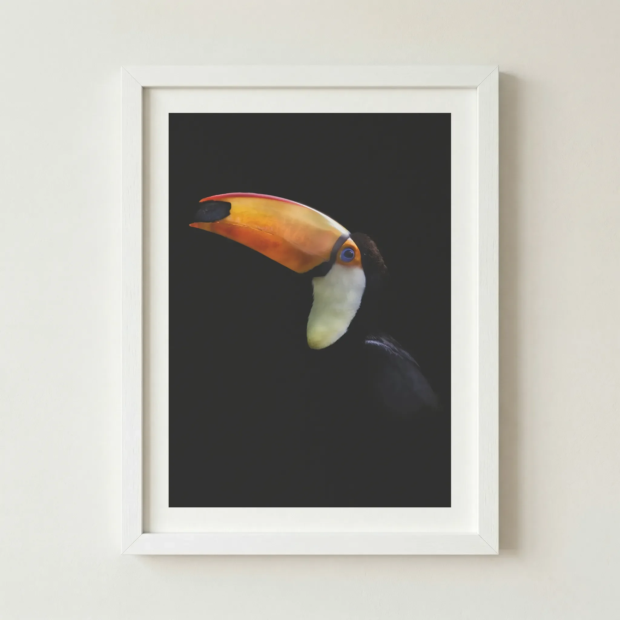 Toco Toucan' fine art print in a white frame, providing a crisp, modern border that emphasises the bird's white throat feathers.