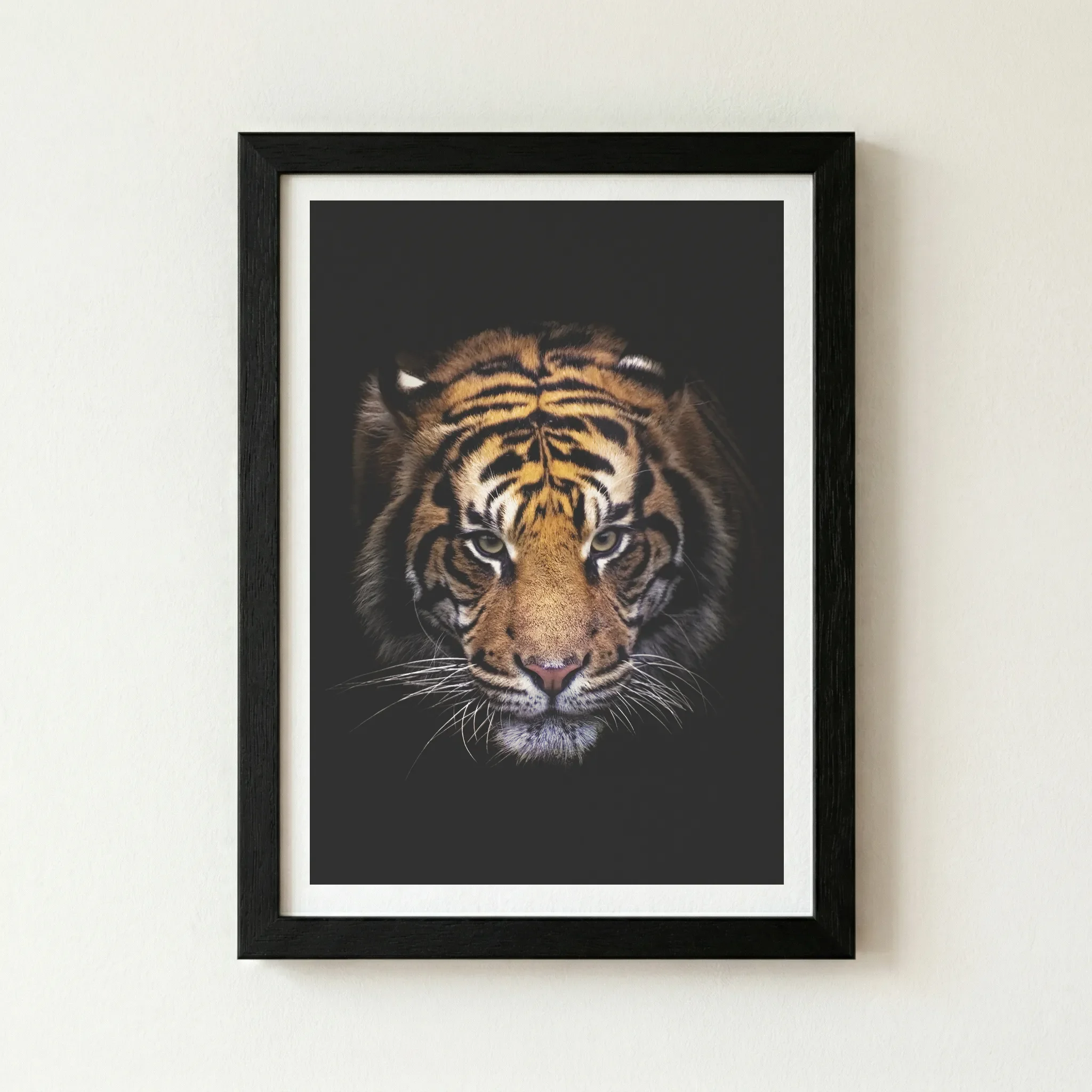 The 'Portrait of a Tiger' print in a black wooden frame, creating a seamless, dramatic extension of the dark shadows for an immersive, modern gallery look.