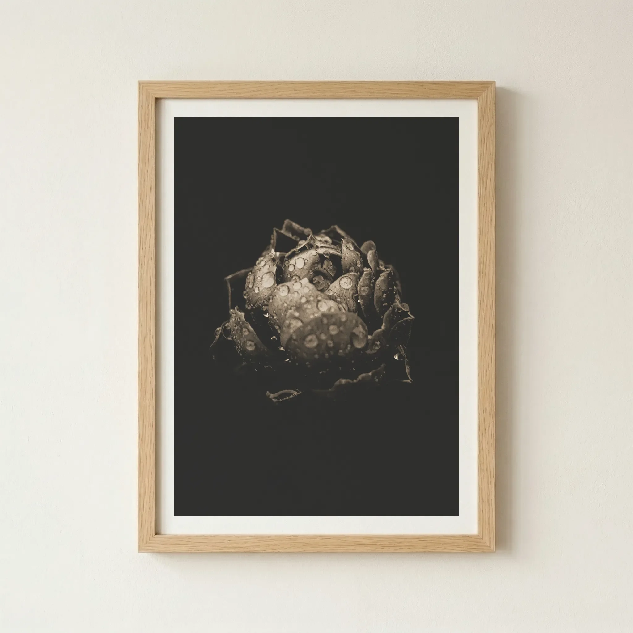Black Poppy fine art print in a natural oak-style frame, grounding the ethereal photography with an organic, warm finish.