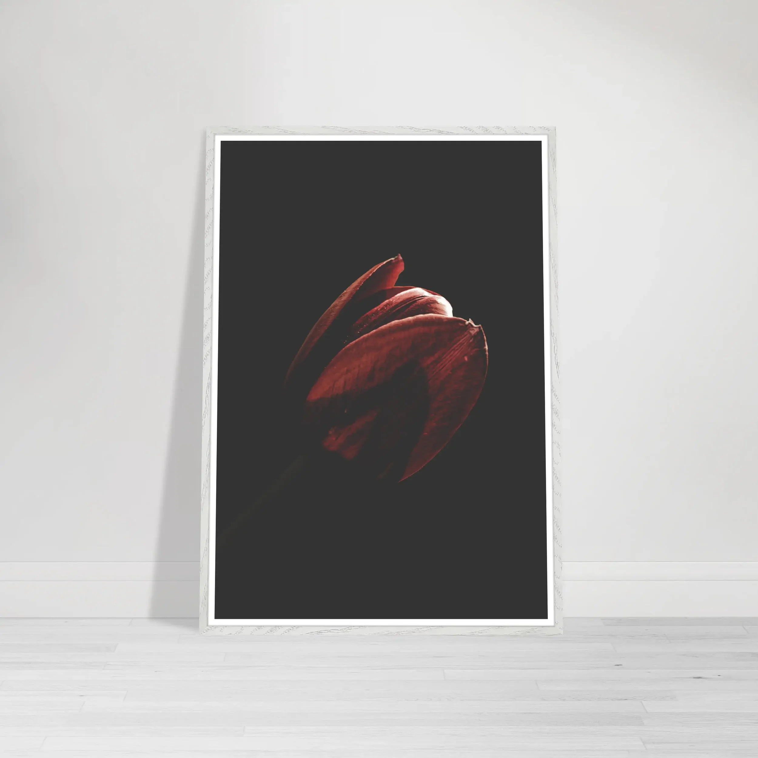 The Tulip art in a white frame, providing a stark, contemporary border that intensifies the deep crimson hues of the petals.