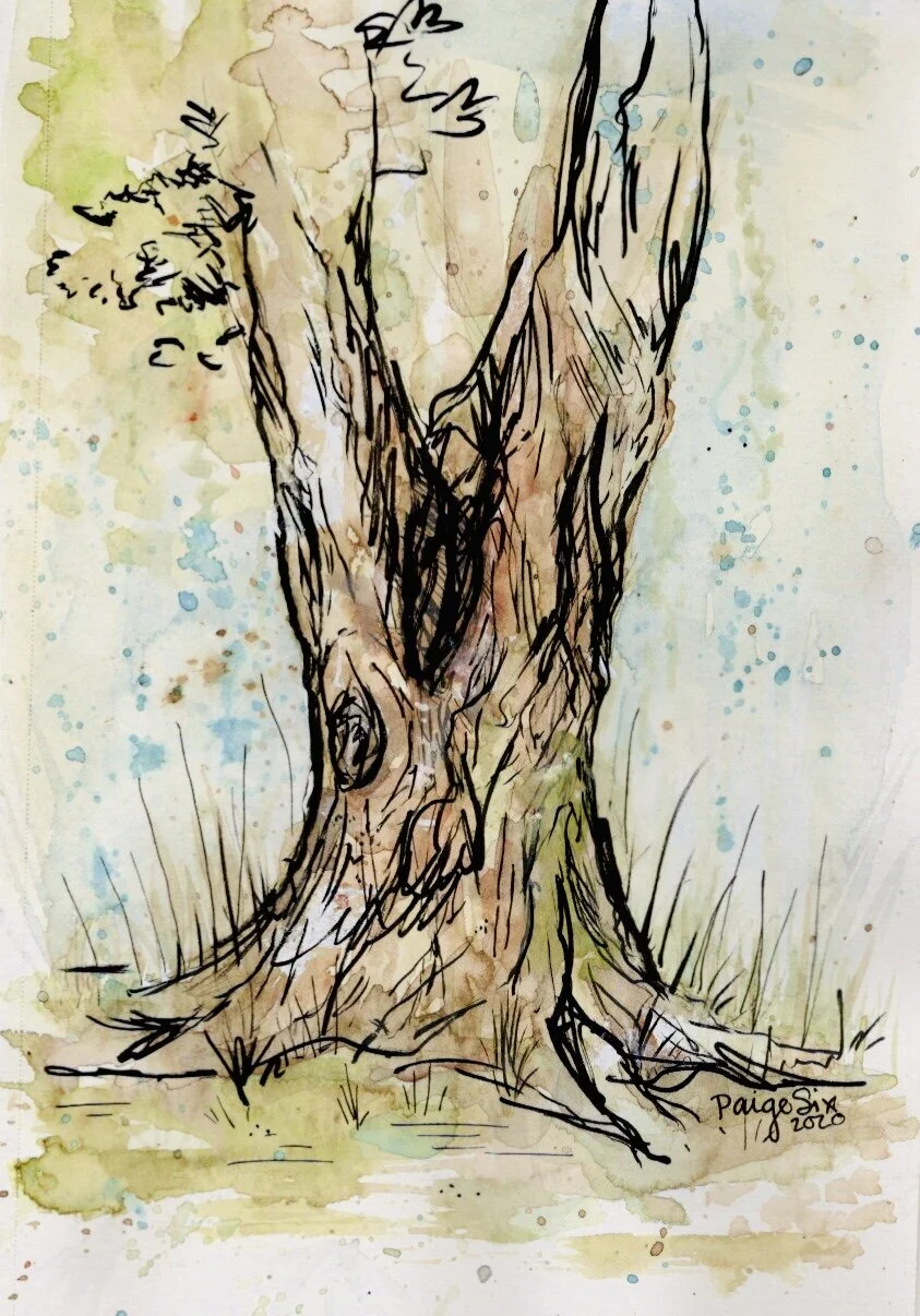 8A03F9BE-CAC6-4A25-ABBF-667F50FB0117